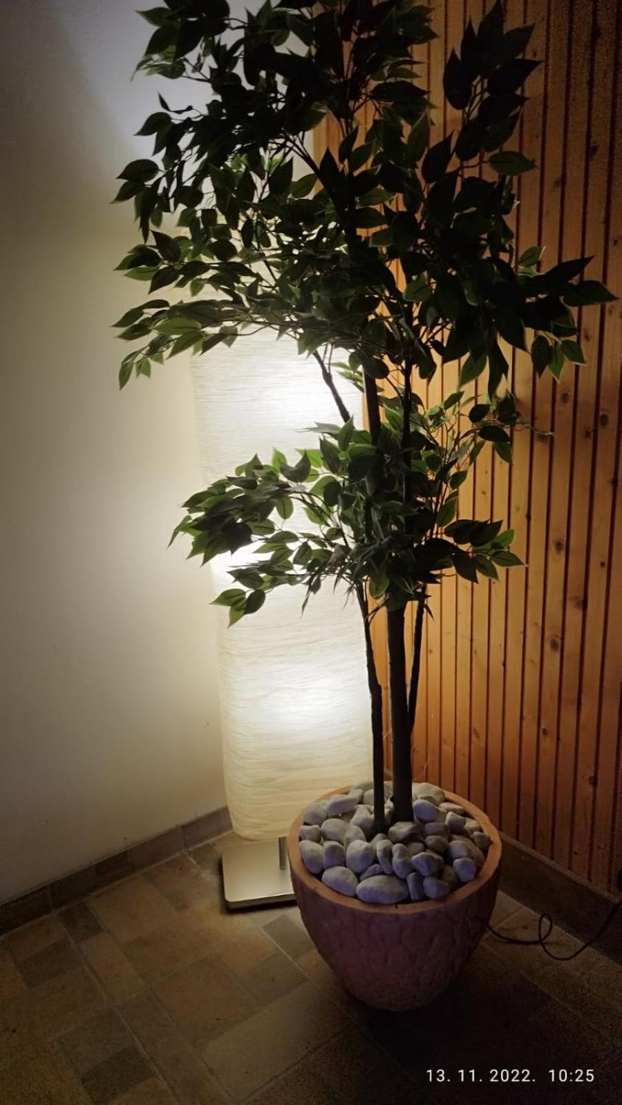 Photo 37