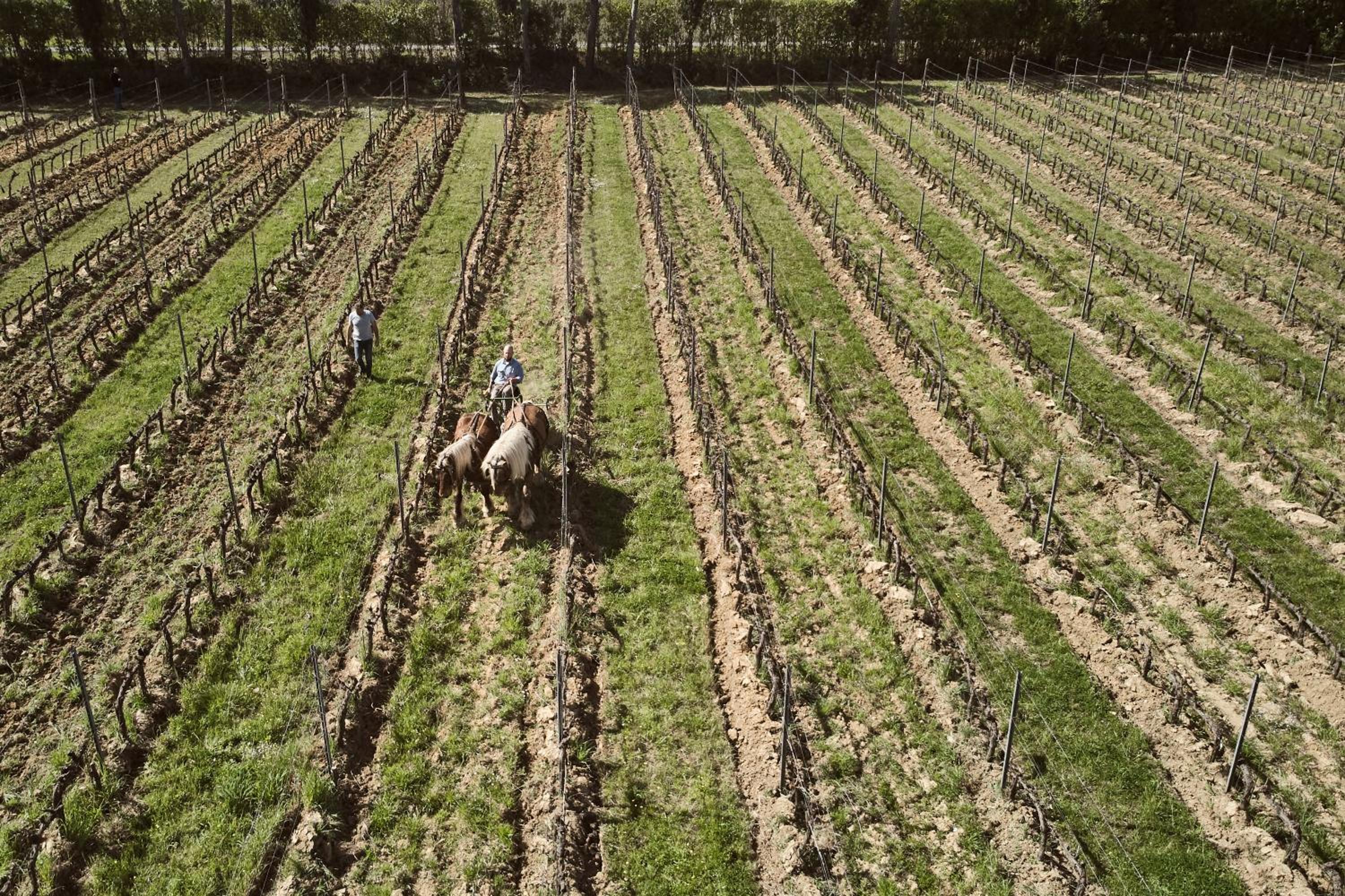 Agriturismo Gli Archi