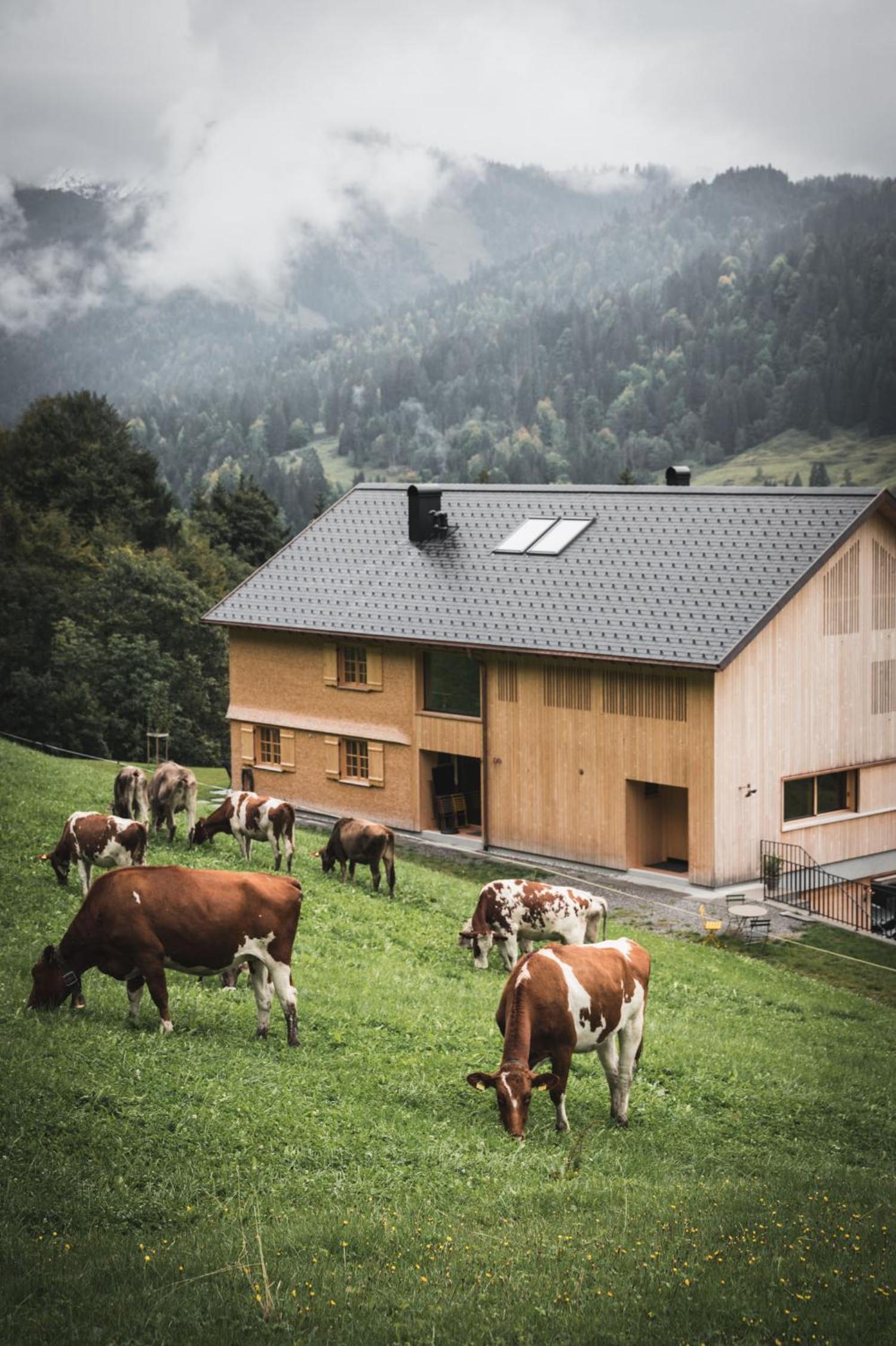 Ferienhaus Halwina hideaway