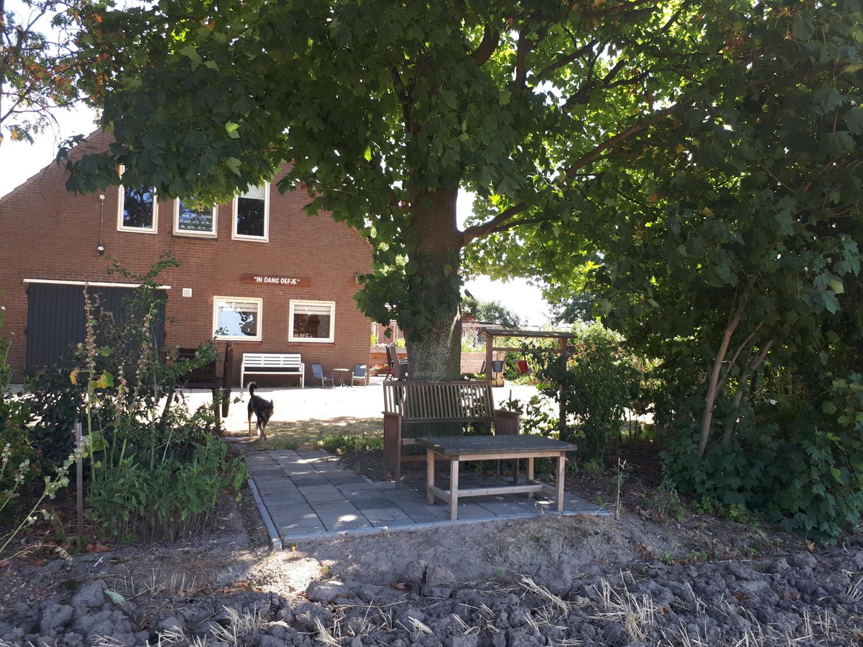 Photo 49