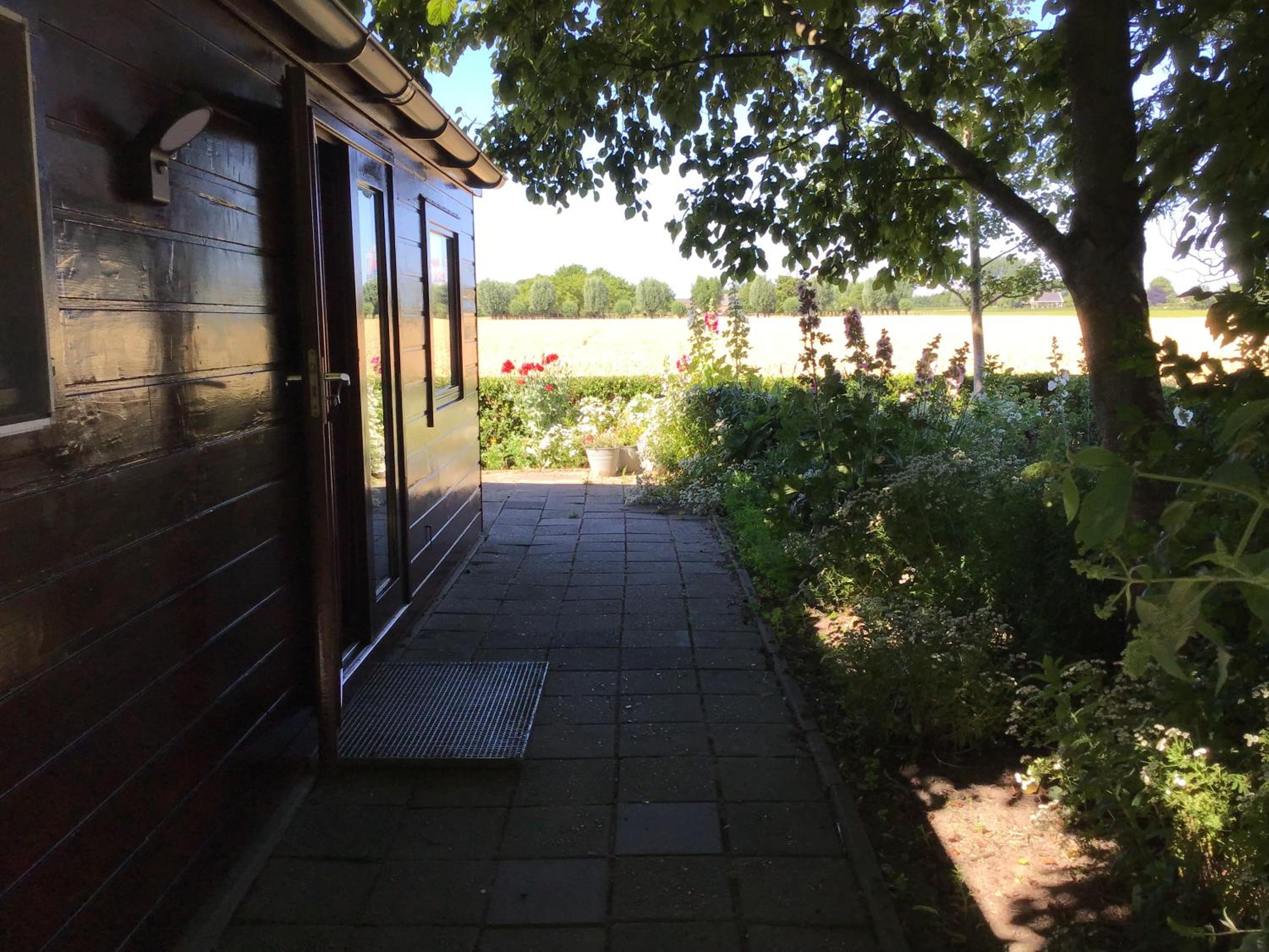 Photo 44