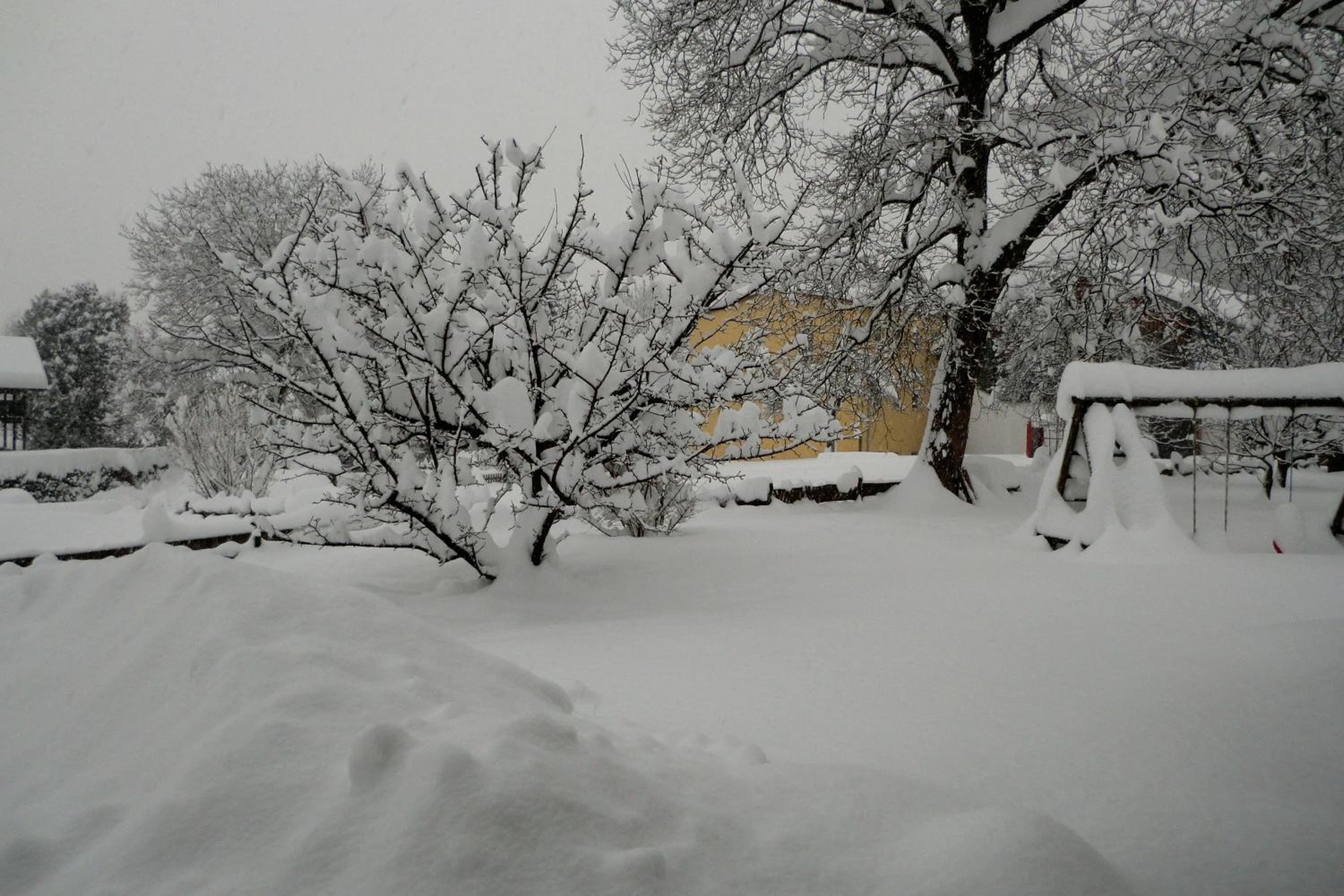 Photo 22