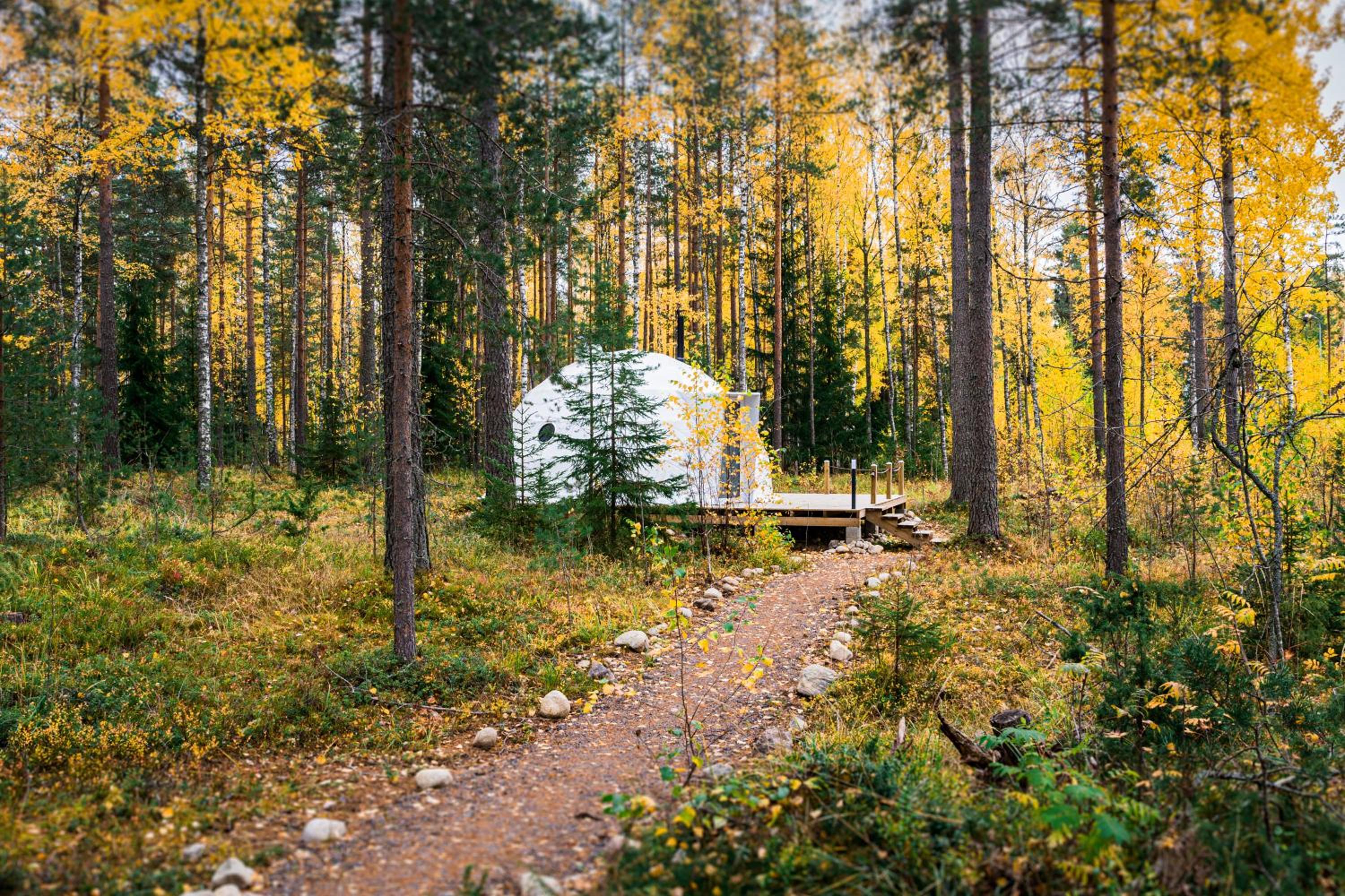 Igloo Glamping LakeLand Camp view 4