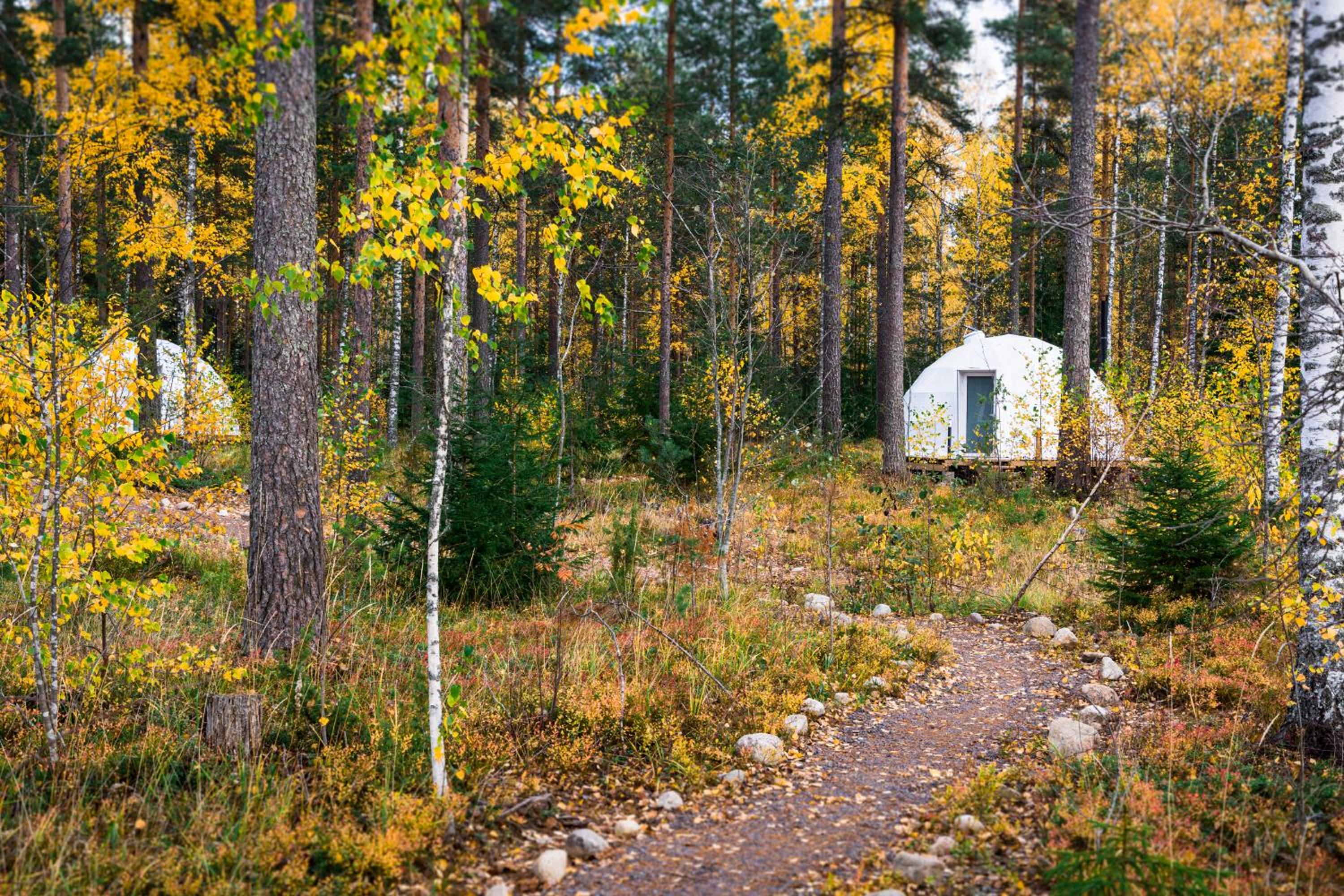 Igloo Glamping LakeLand Camp view 2