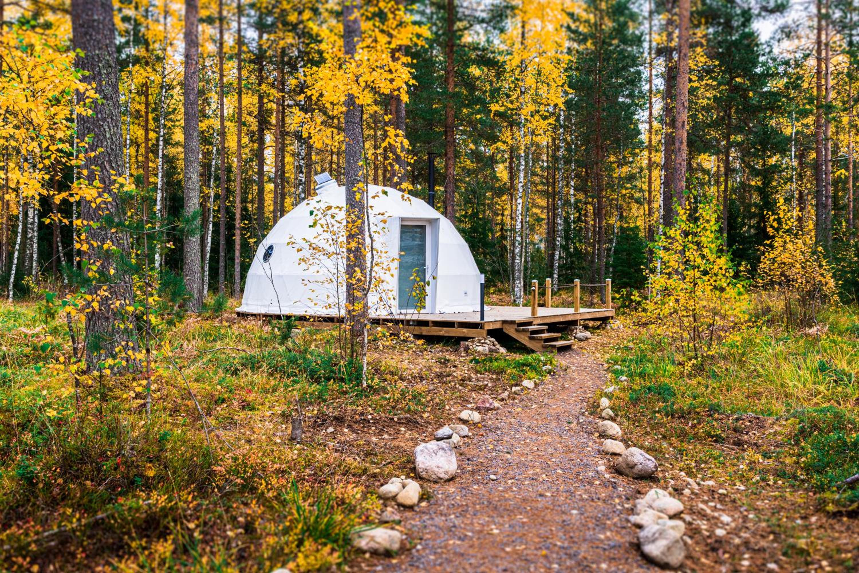 Igloo Glamping LakeLand Camp view 5
