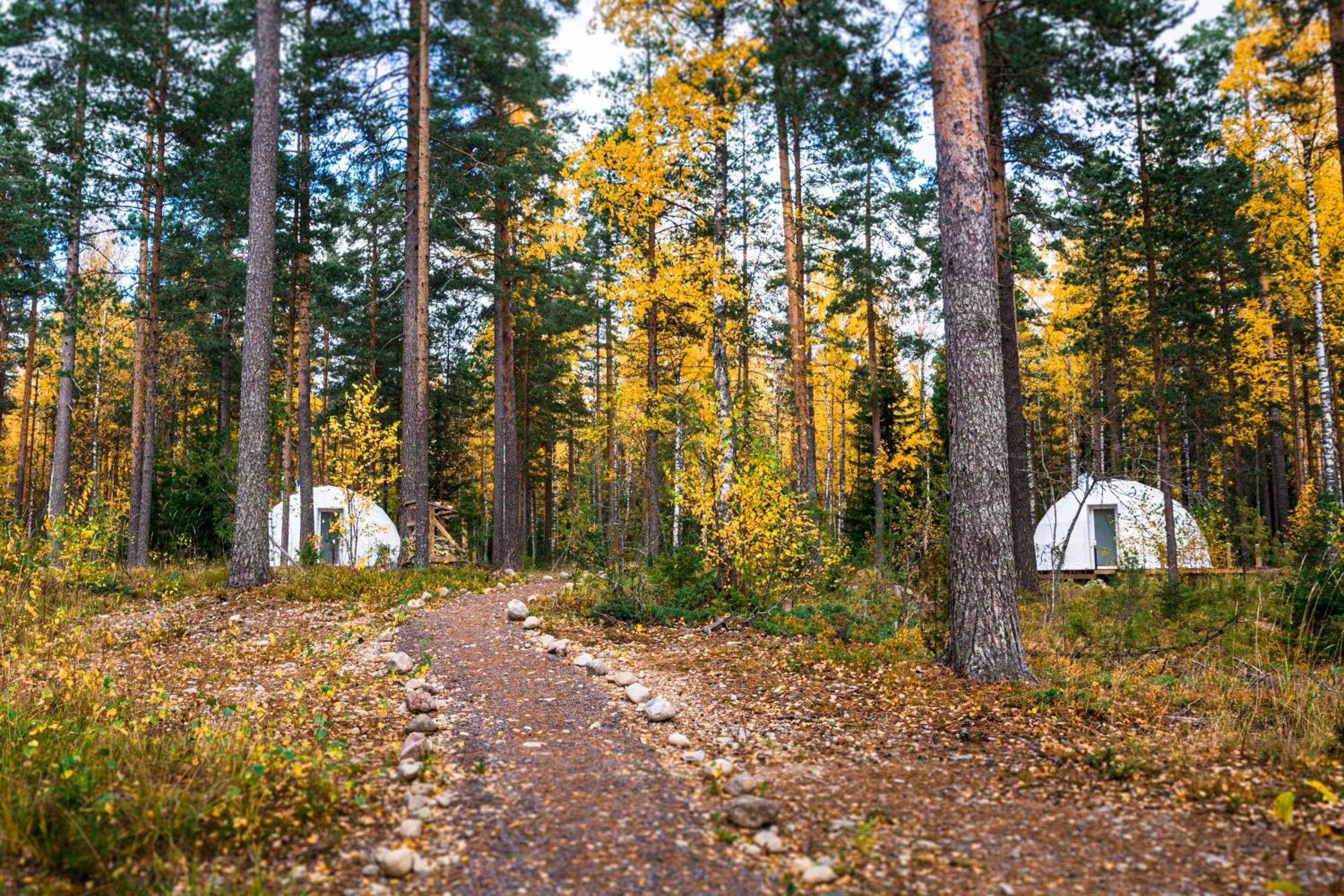 Igloo Glamping LakeLand Camp view 3