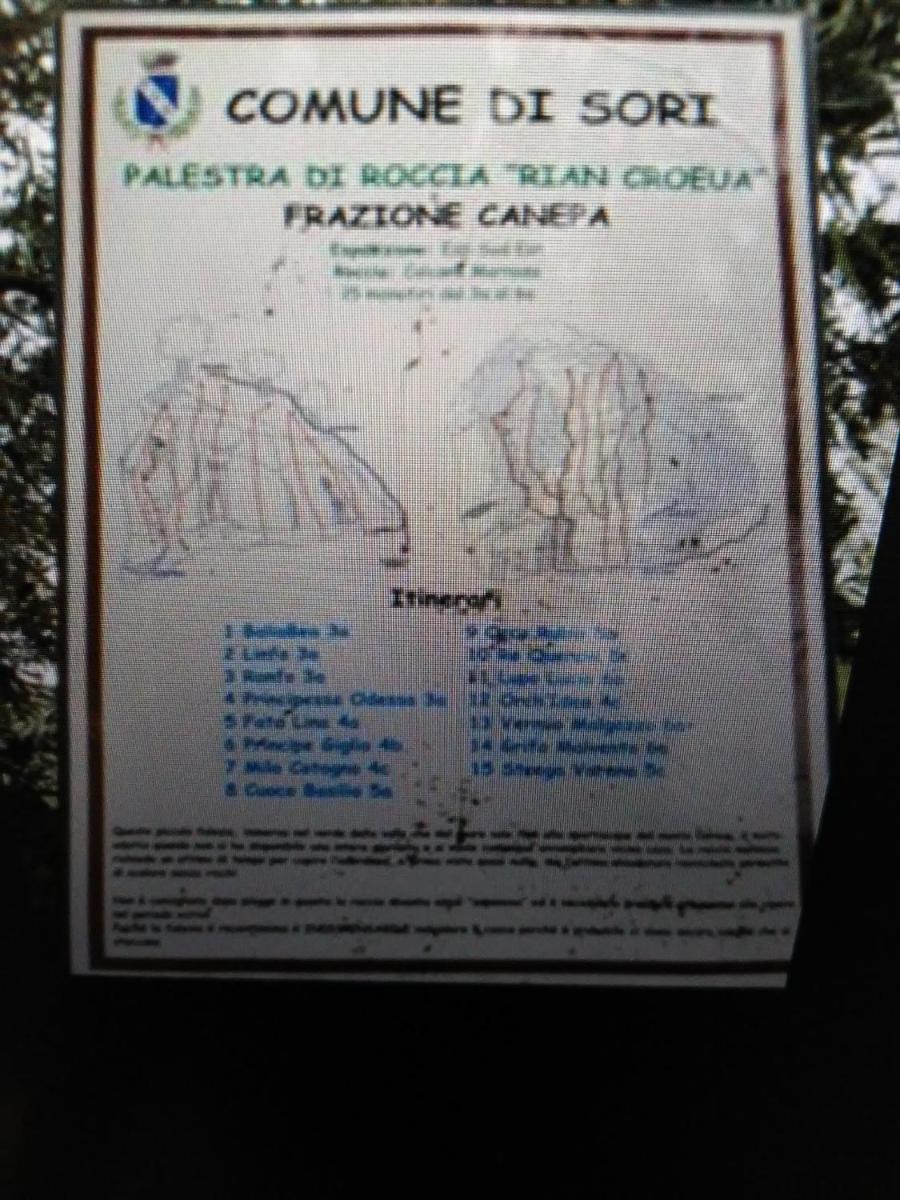 Photo 29