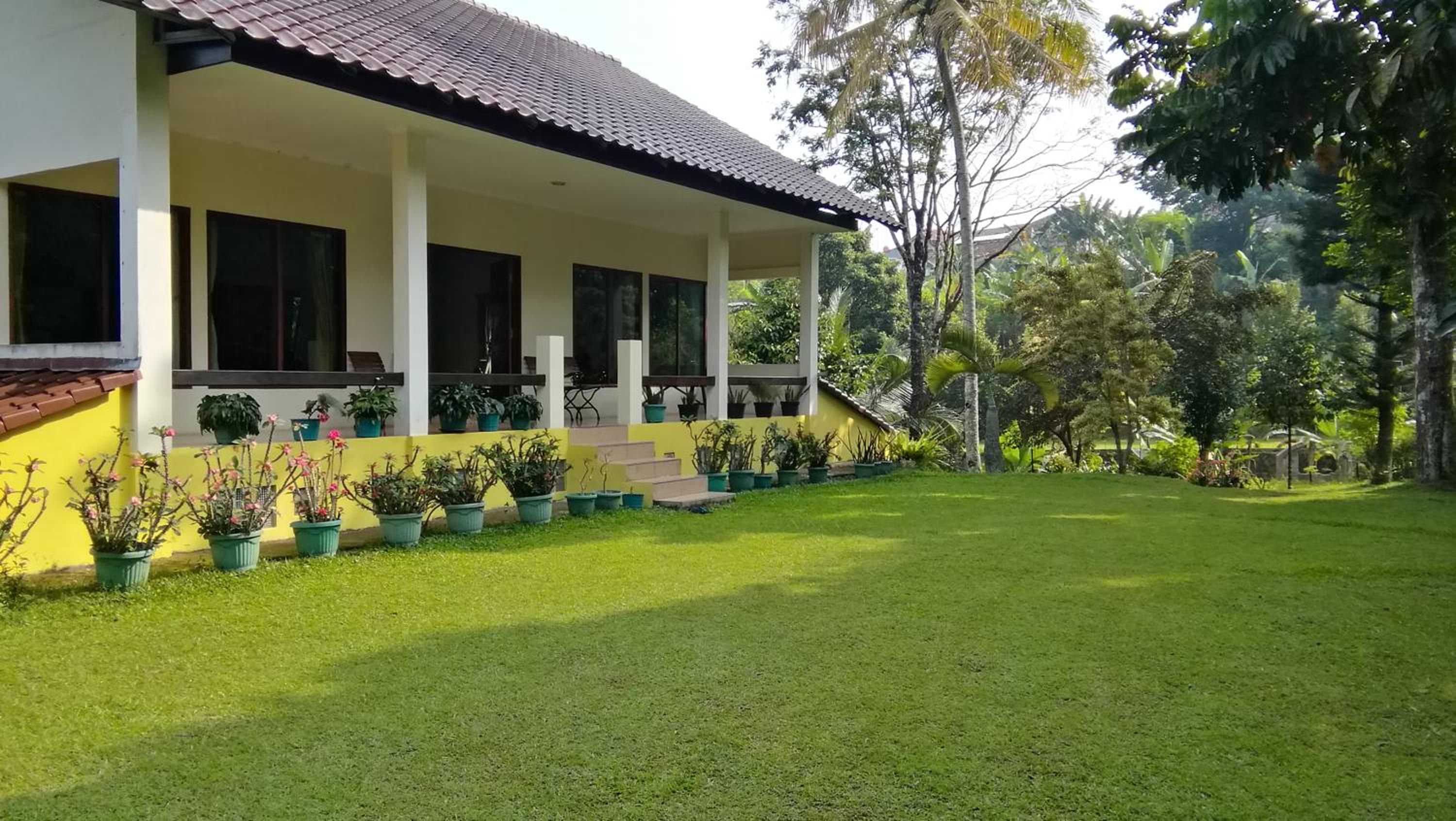 Villa (Entire) Teddy 6500m2 land@Gadog 650m above sea level. view 2
