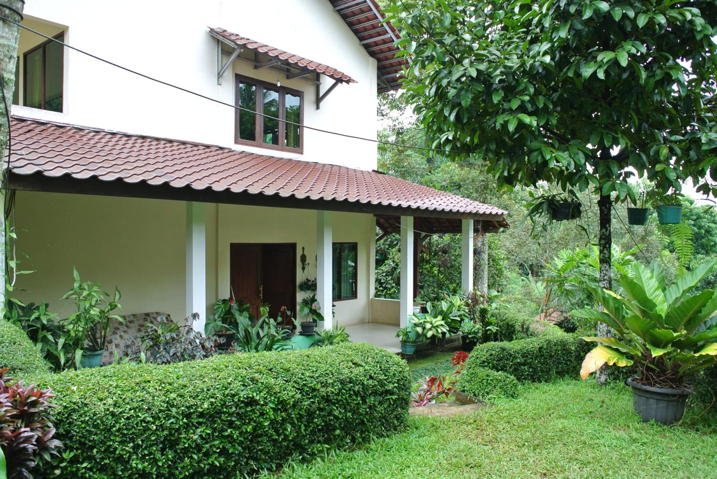 Villa (Entire) Teddy 6500m2 land@Gadog 650m above sea level. view 3
