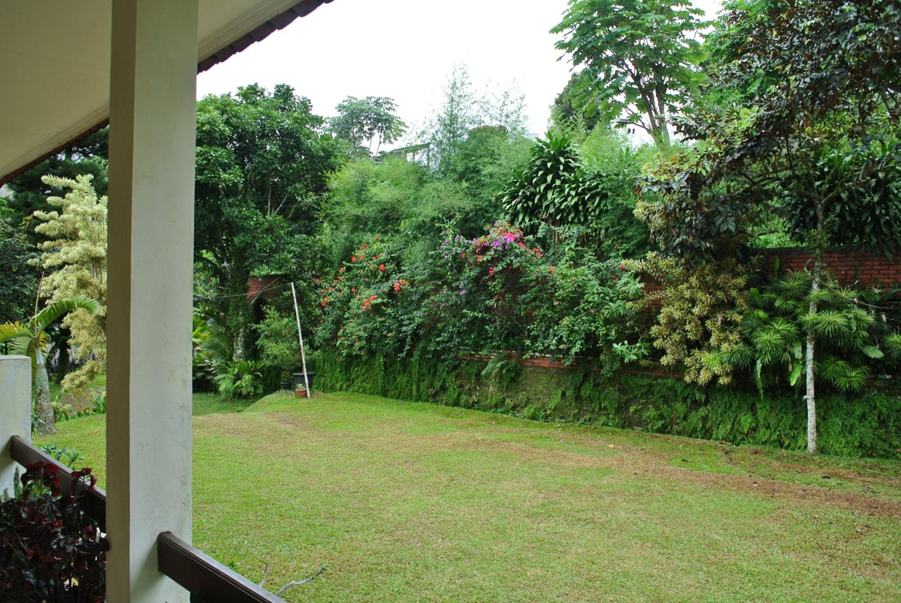 Villa (Entire) Teddy 6500m2 land@Gadog 650m above sea level. view 4