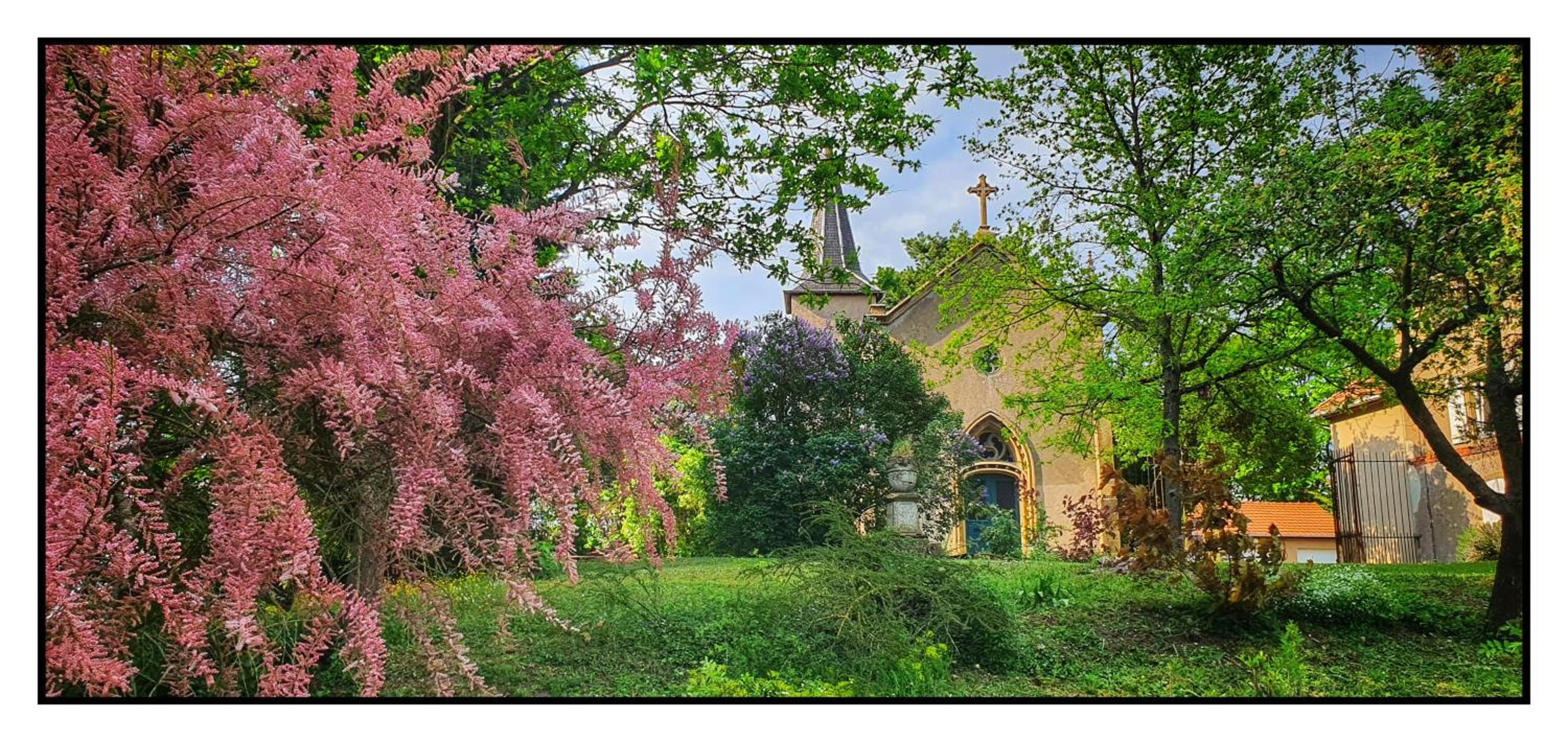 Château de Logne au coeur de la Moselle, photo 3