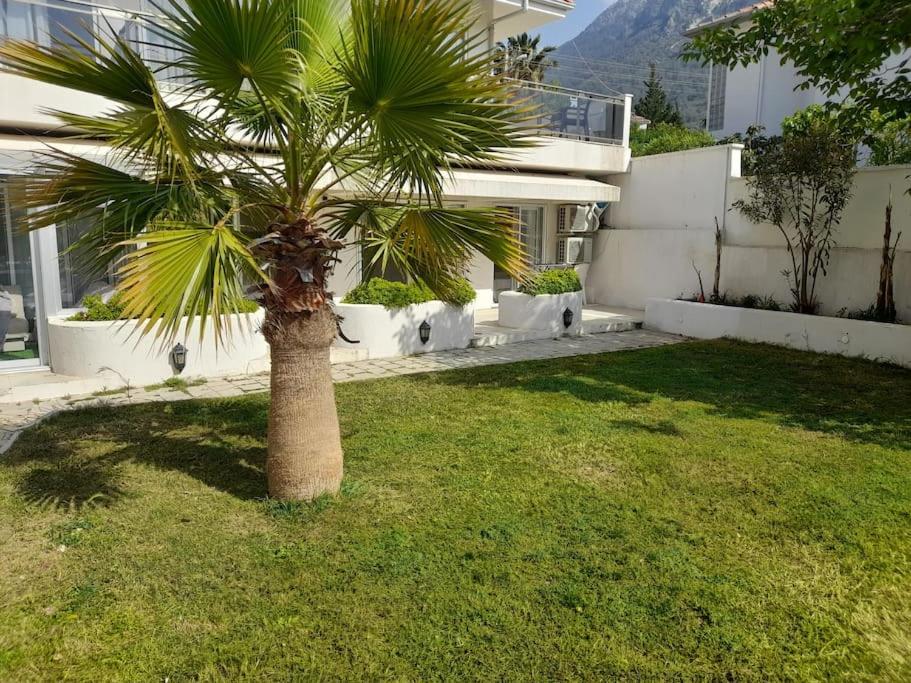 Ölüdeniz Günlük Kiralık Daire & Apart havuzlu view 5