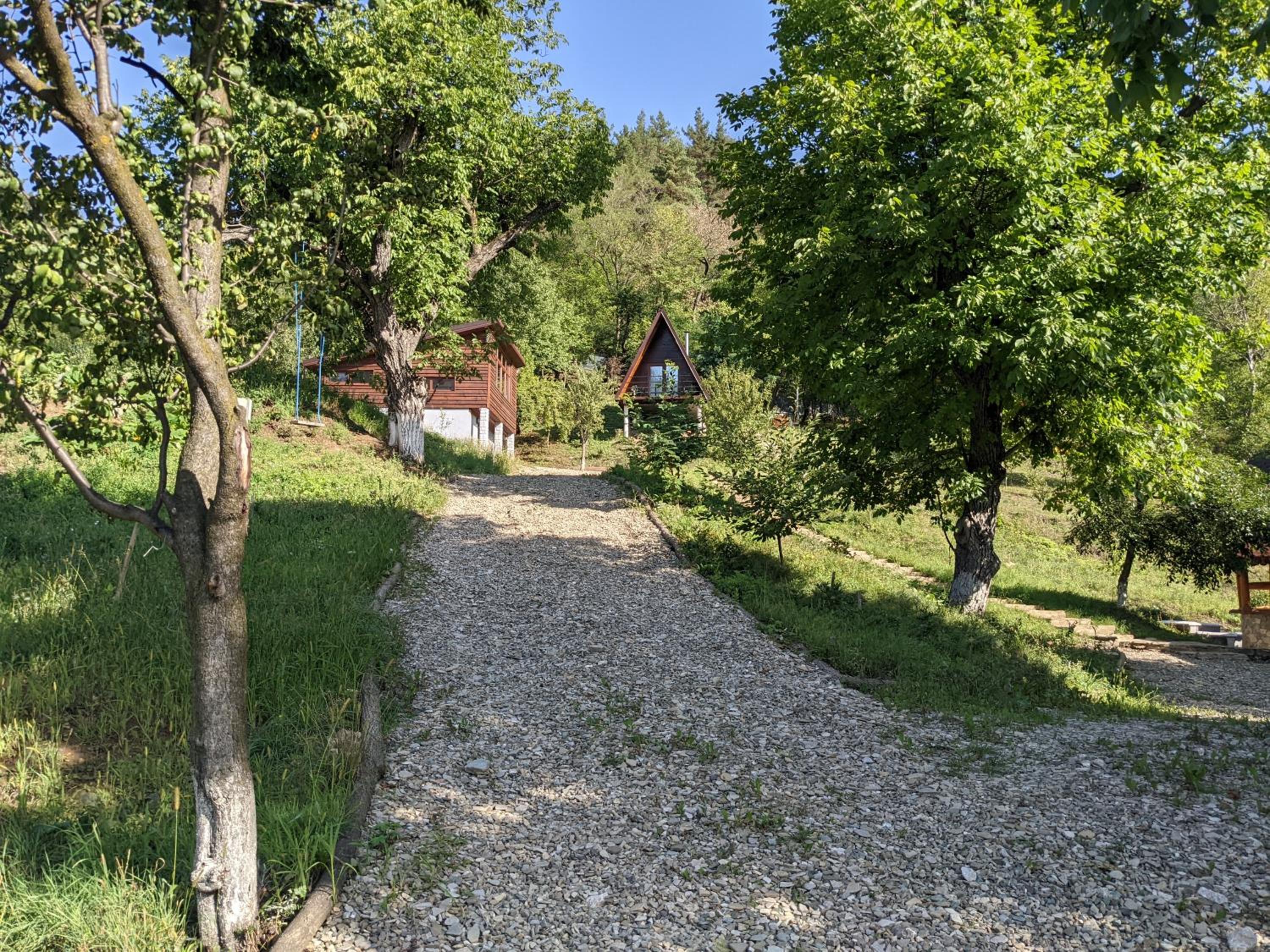 Photo 22