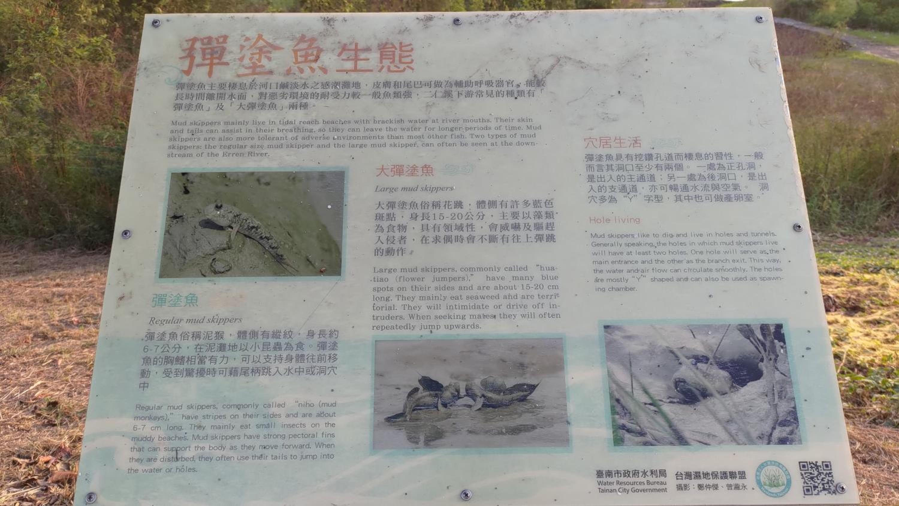 Photo 20