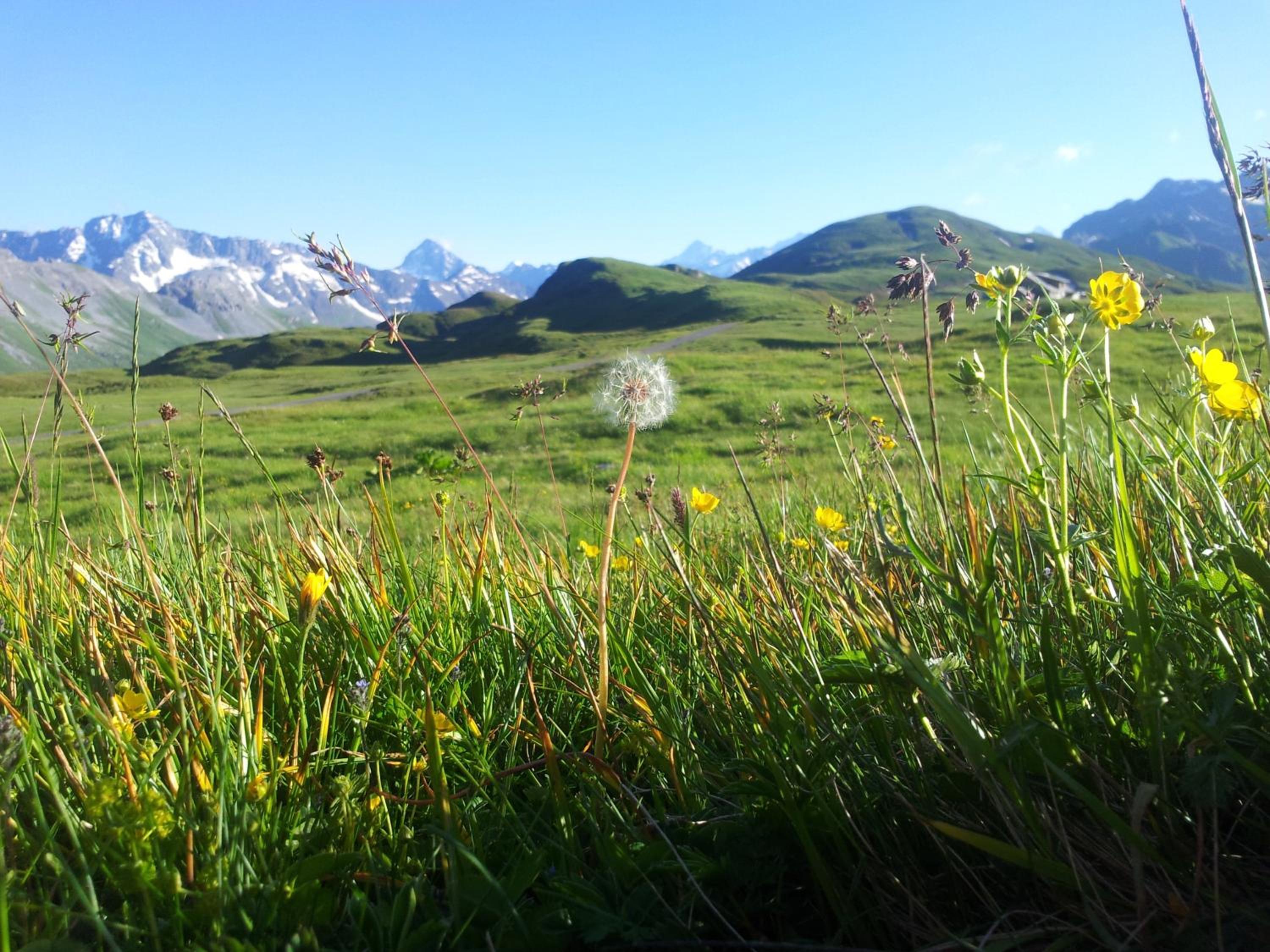 Berggasthaus Tannalp
