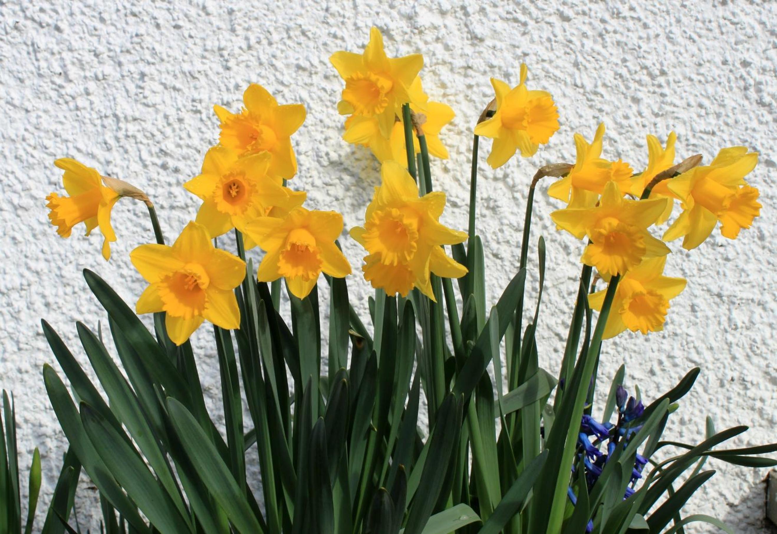 Craik Na Dav B&B