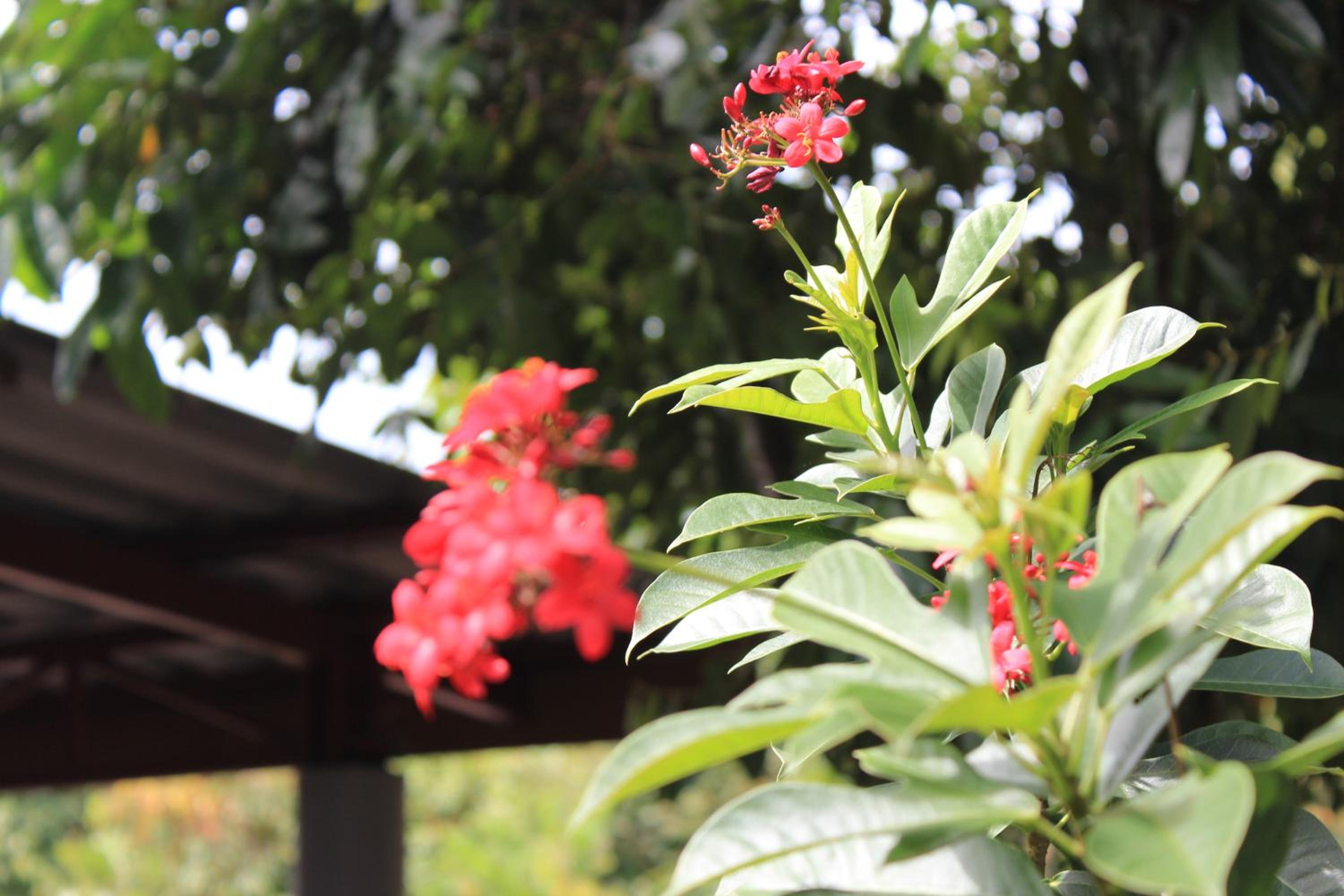 Lanta Happy Hill