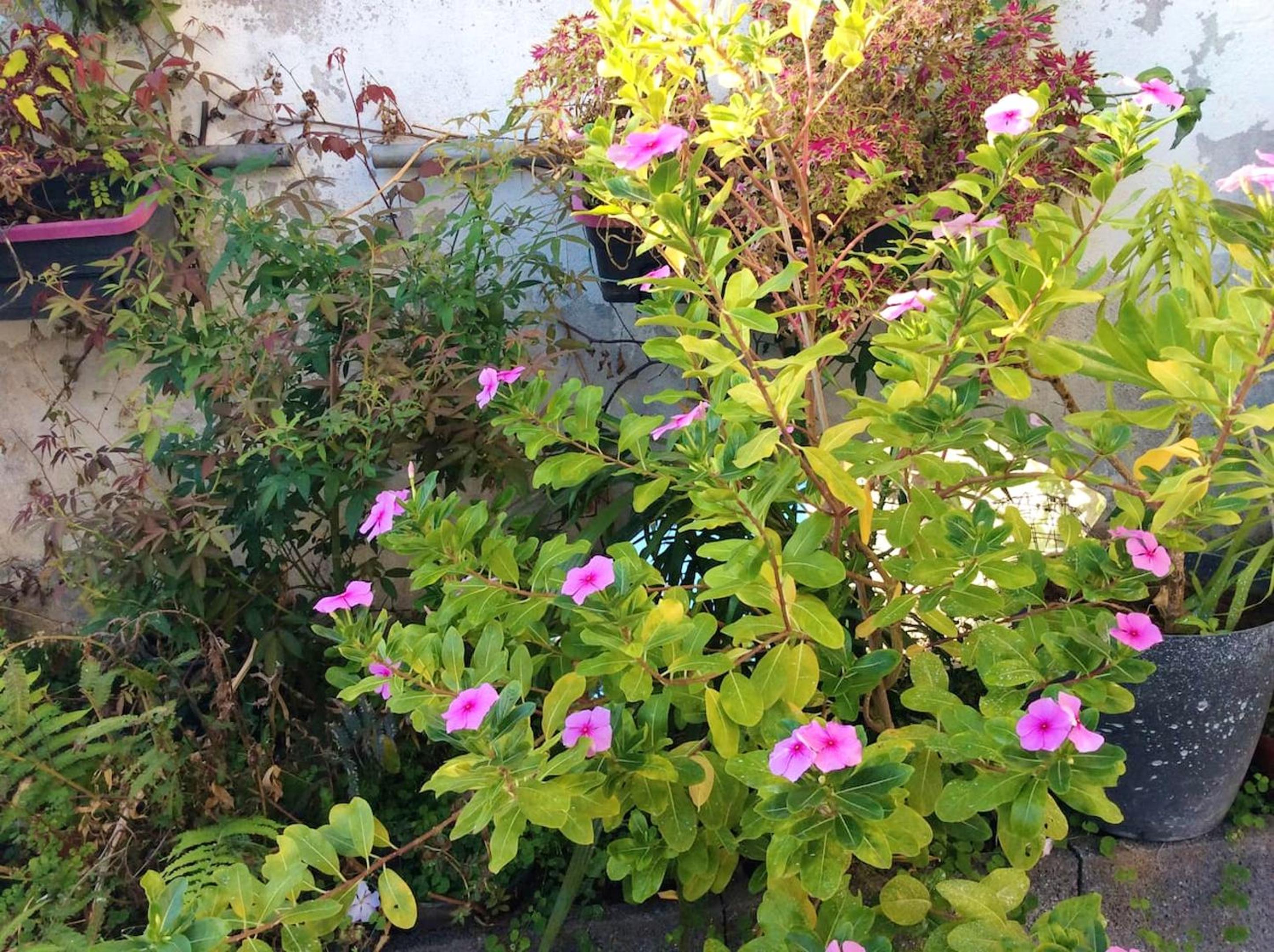 Photo 23
