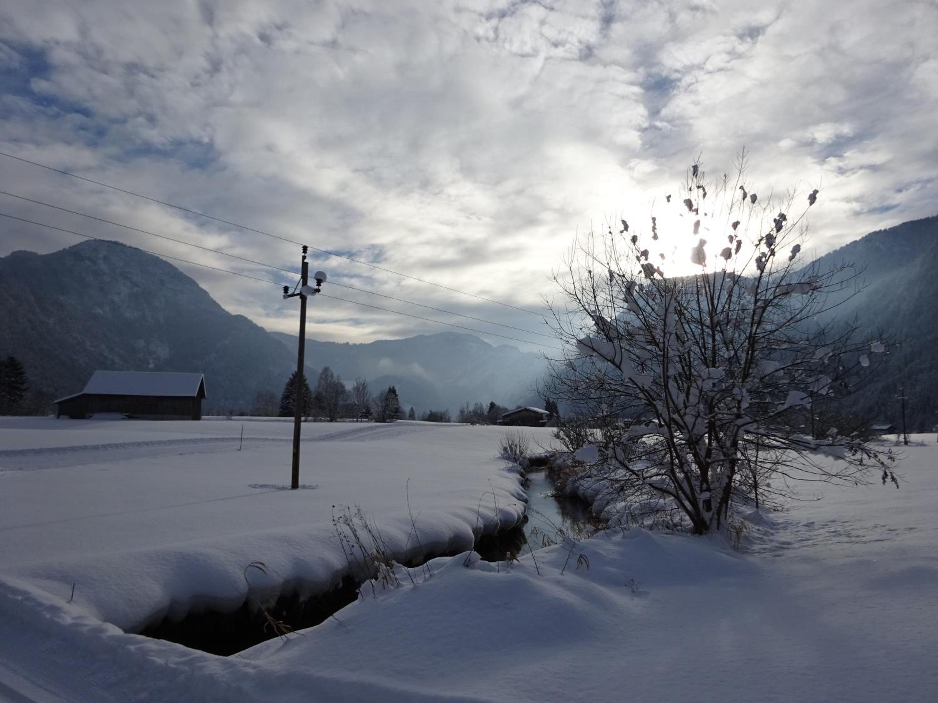 Photo 49
