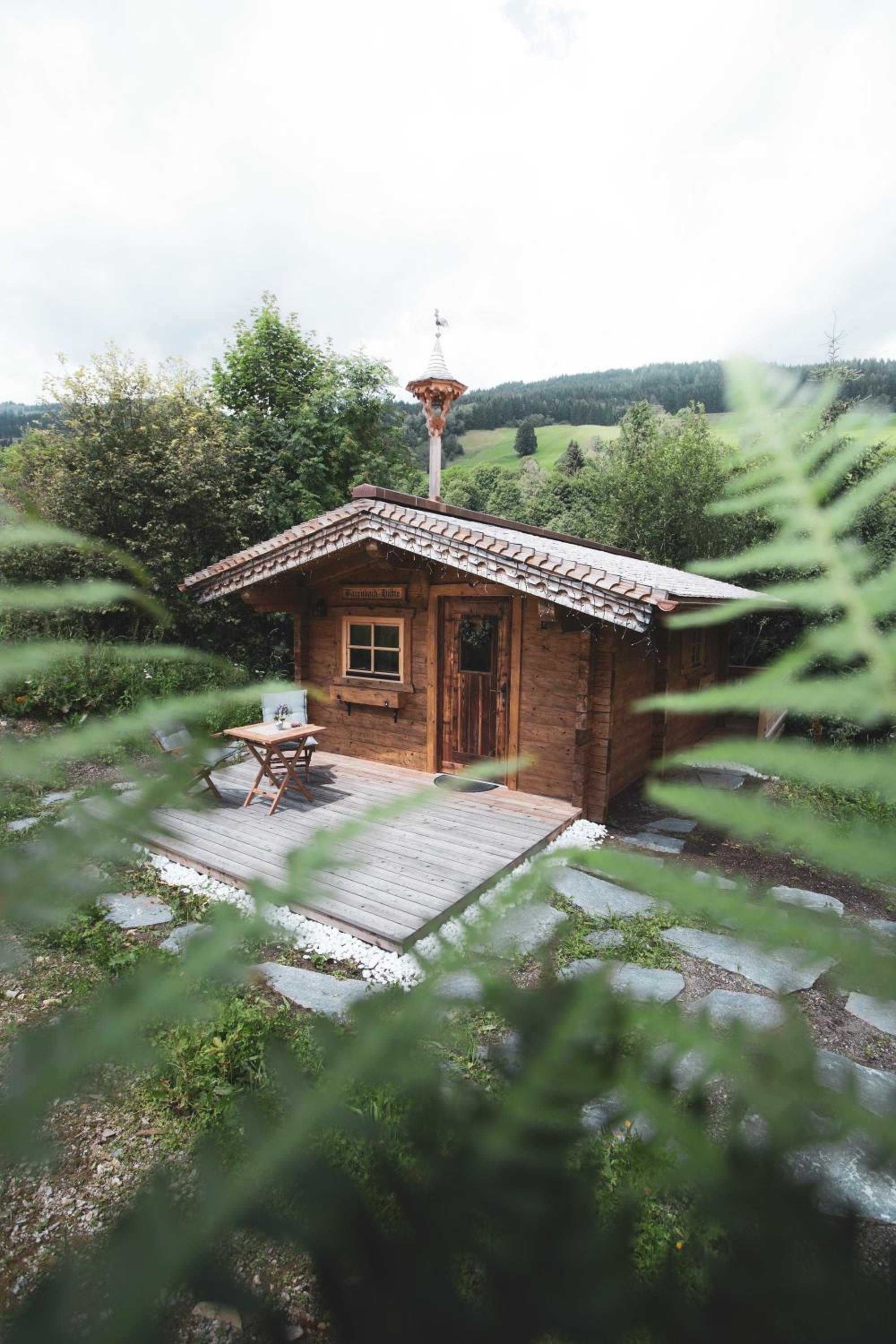 Bärenbach - Almhütte Saalbach