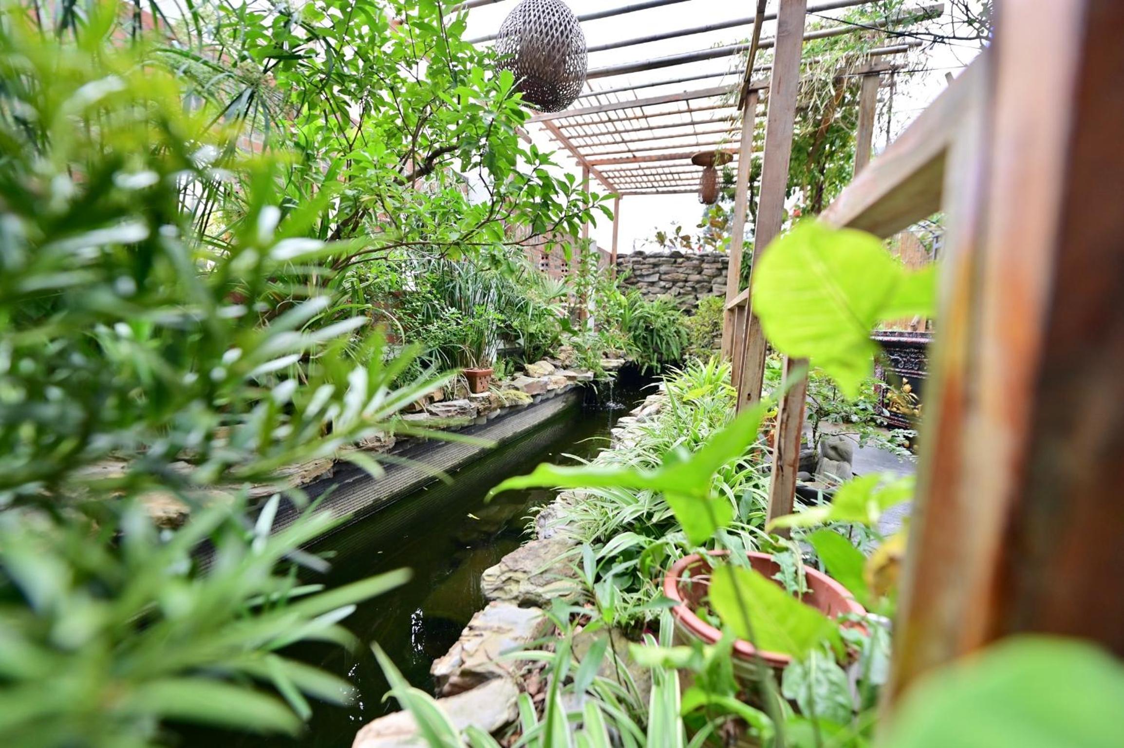 Coto Center Homestay, photo 34