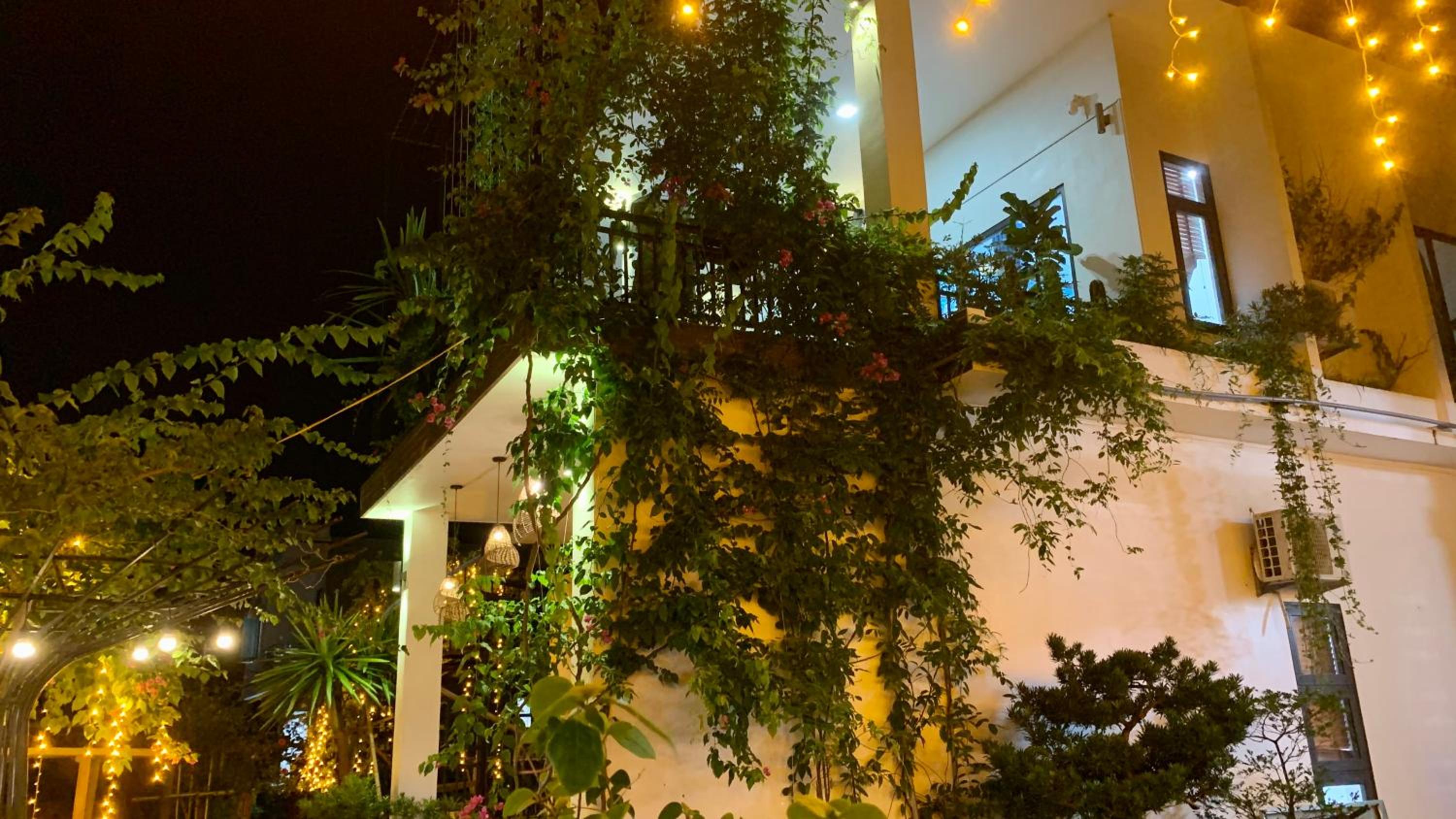 Coto Center Homestay, photo 131