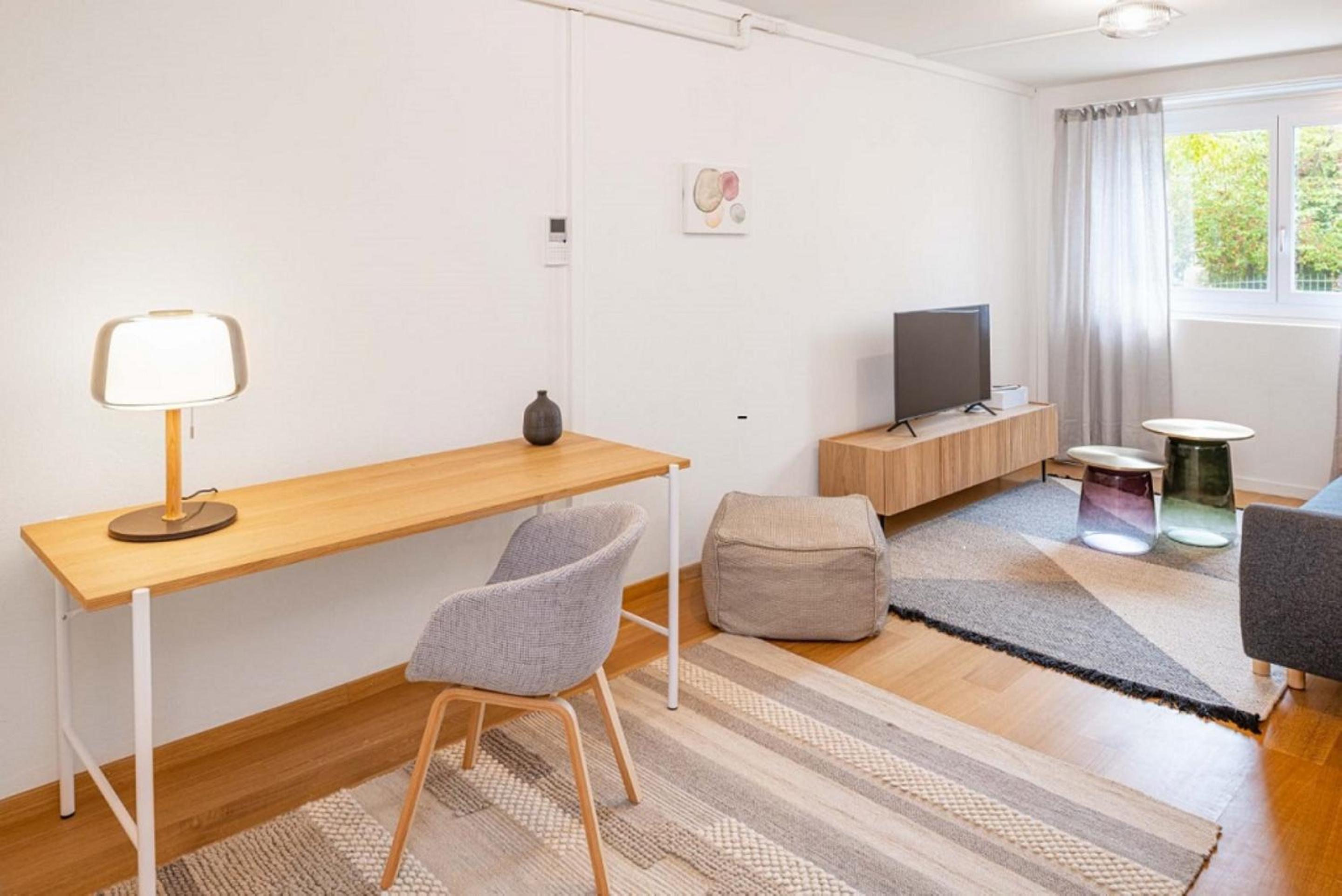 one bedroom apartment in trendy Zurich West