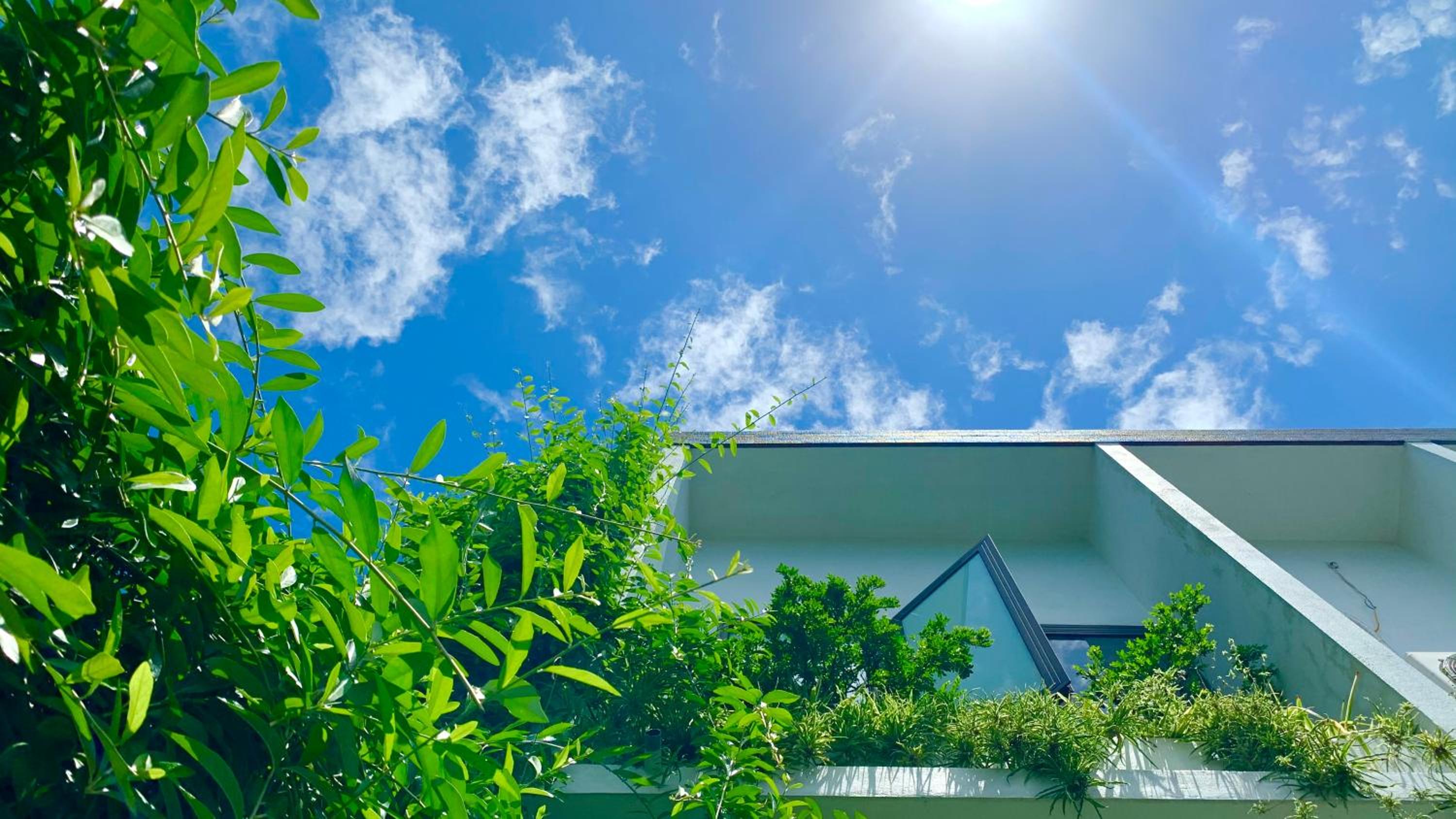 Coto Center Homestay, photo 102
