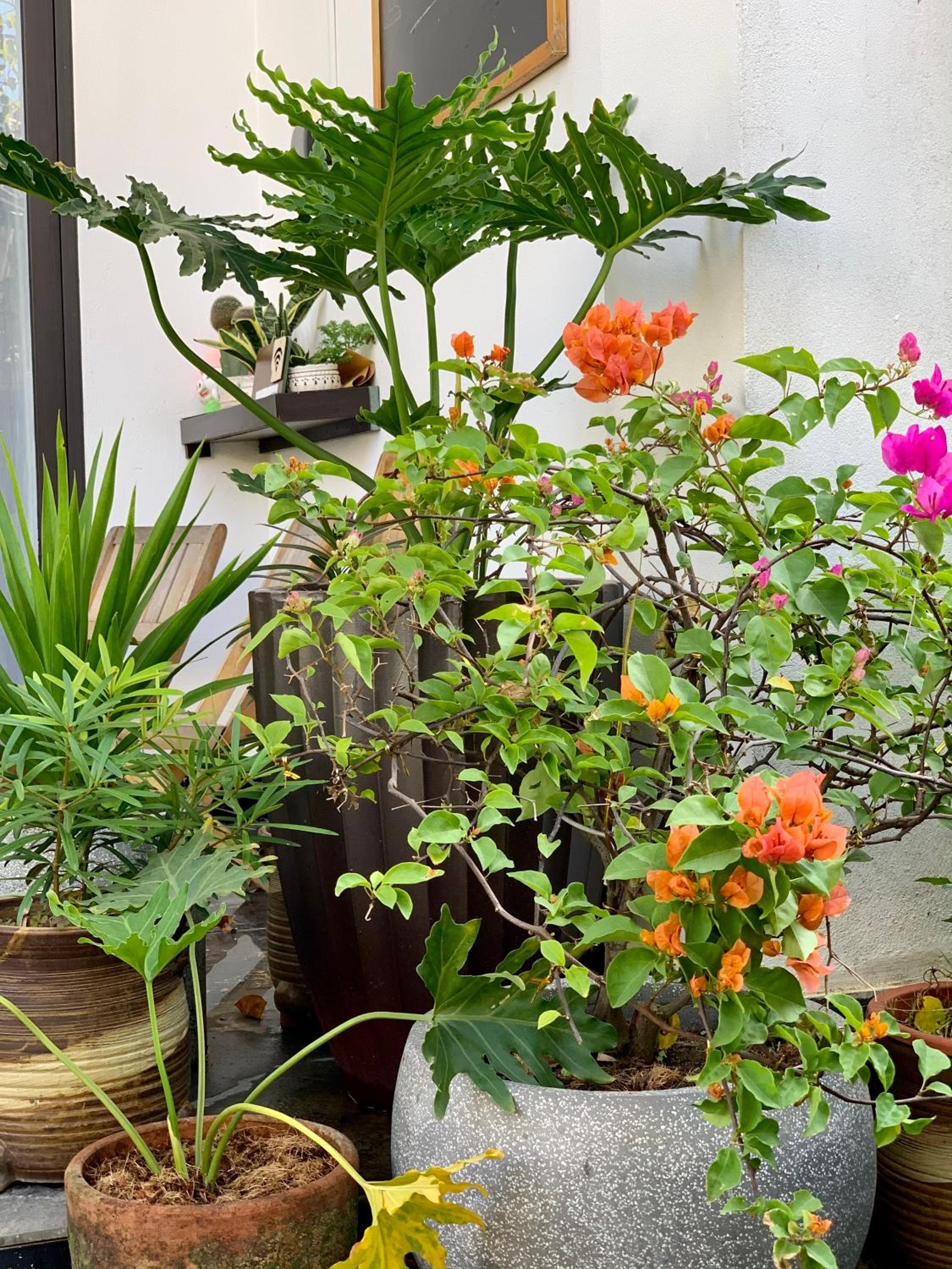 Coto Center Homestay, photo 100