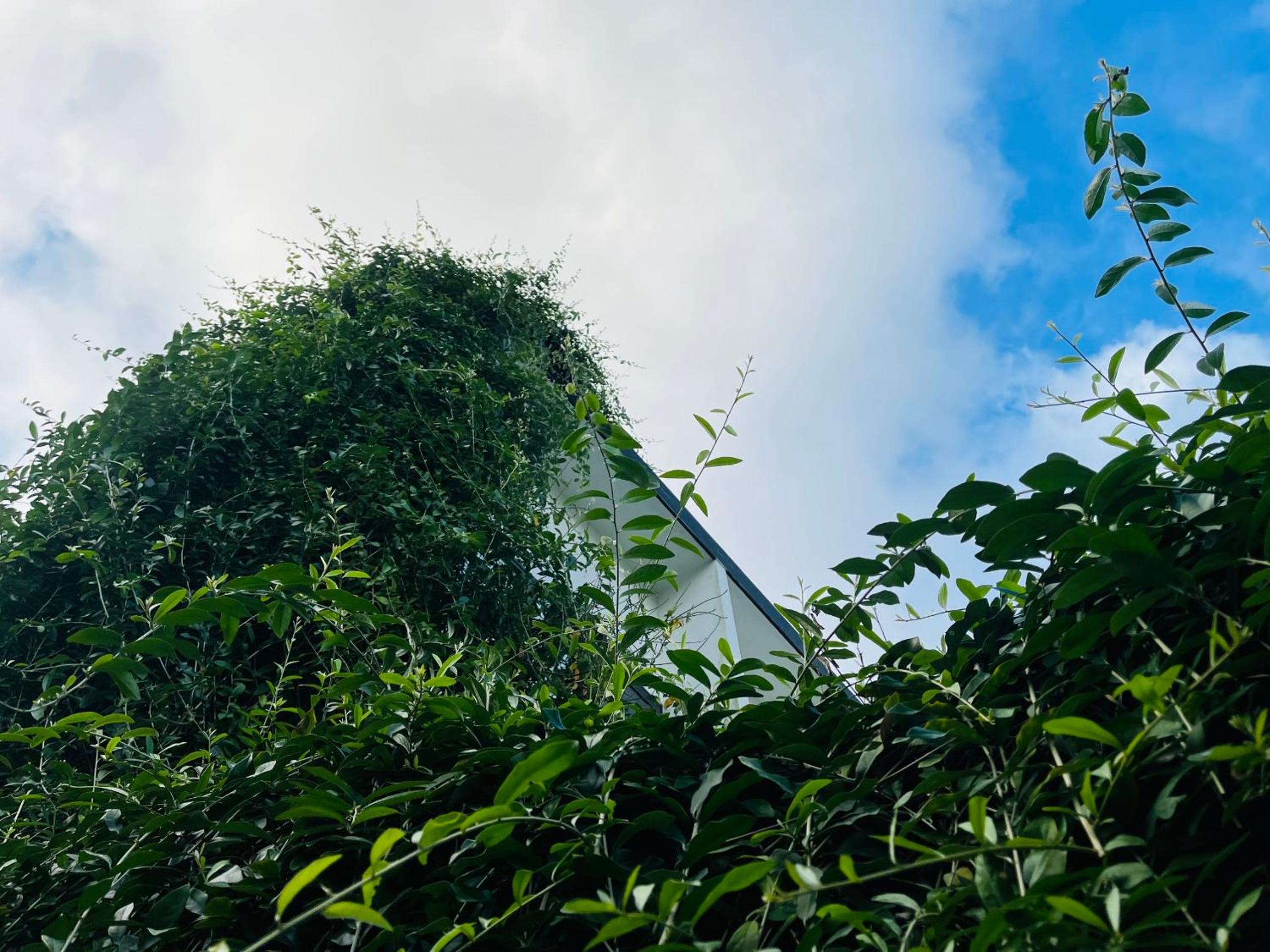 Coto Center Homestay, photo 85