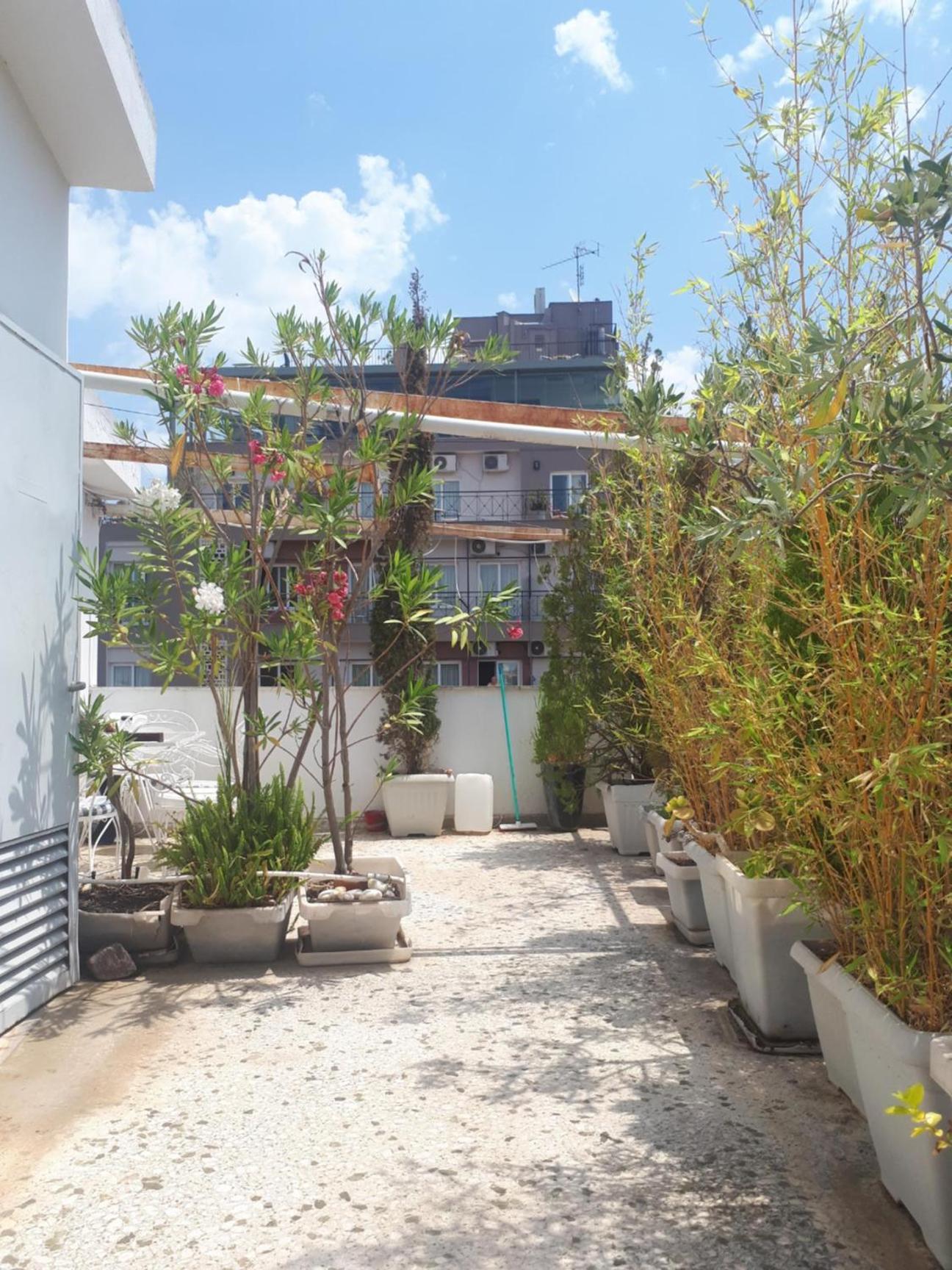 Central and Comfy with Private Balcony and Rooftop Access - CT3 photo 4