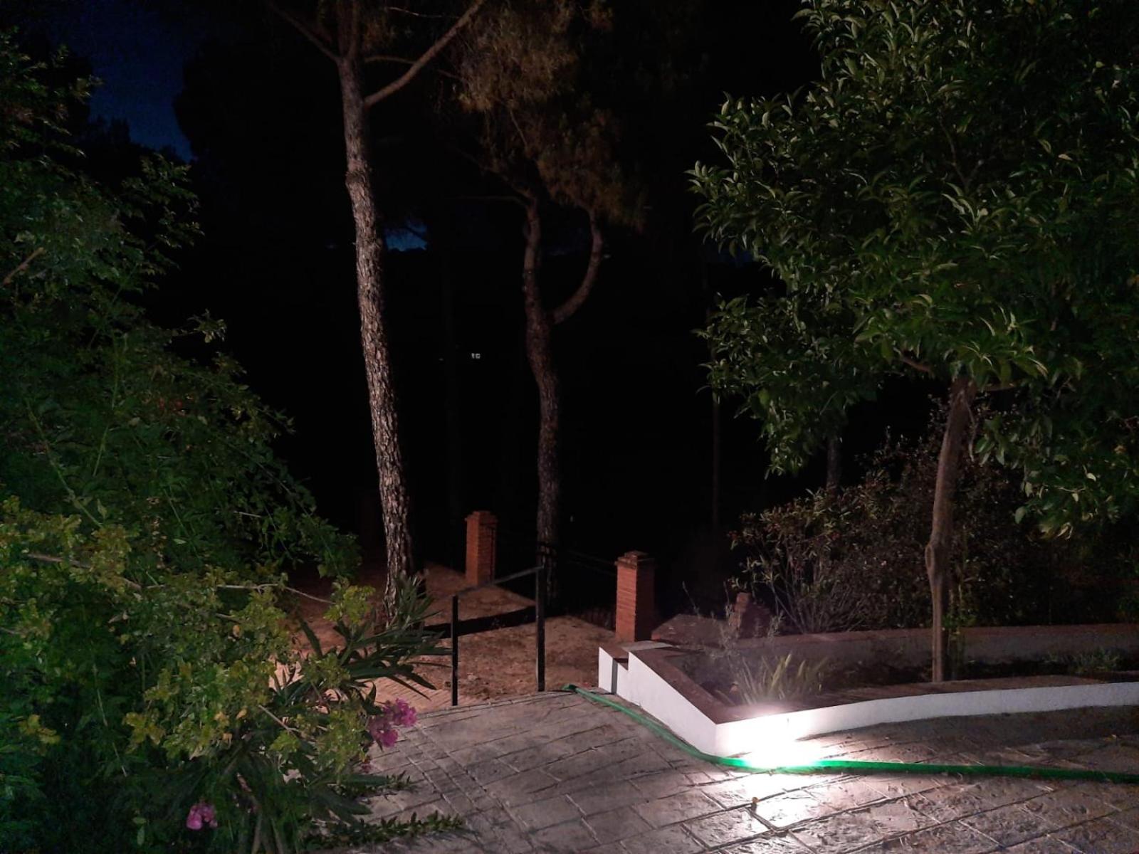 La Garzona