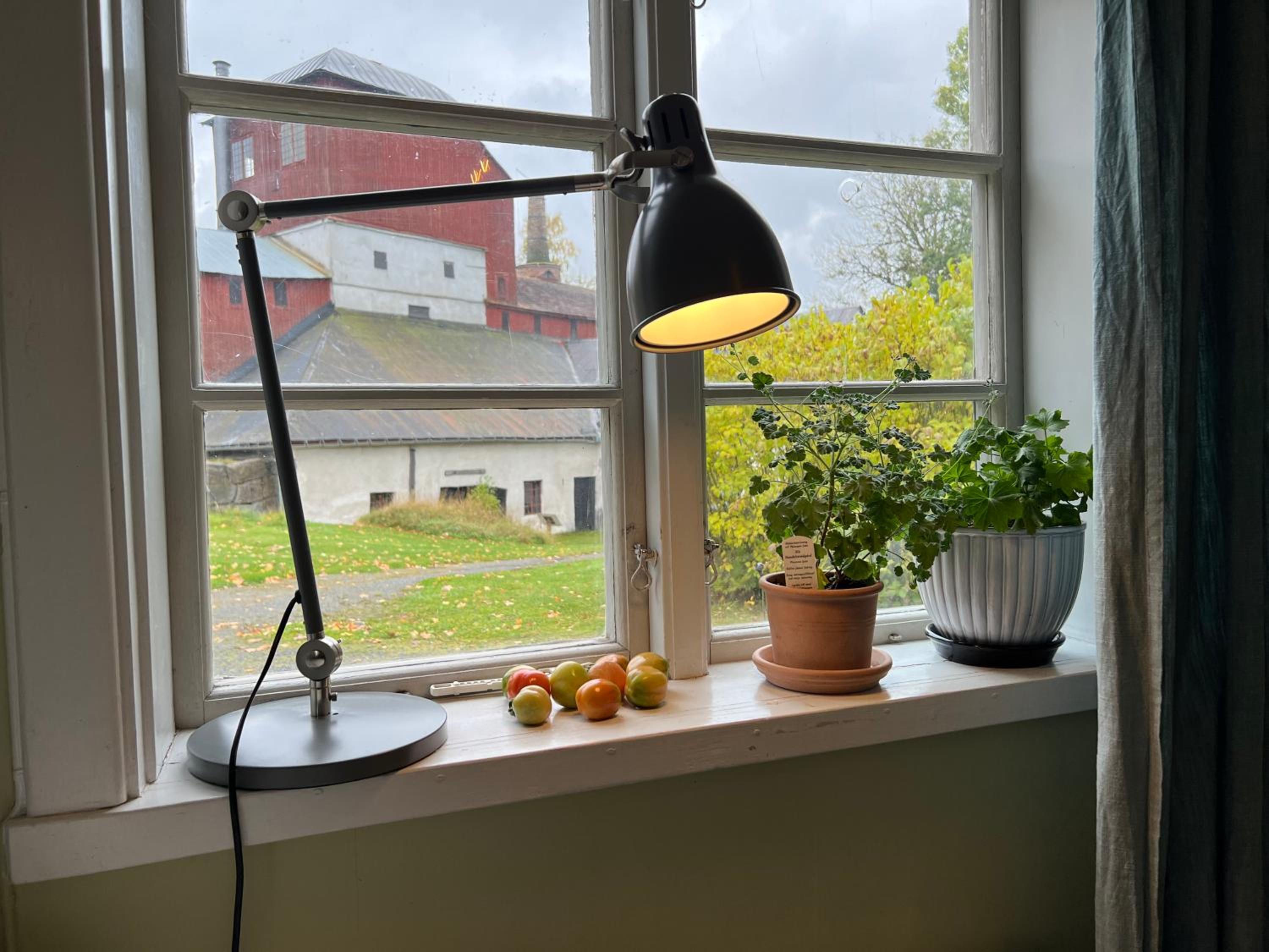 Lilla Backstugan view 2