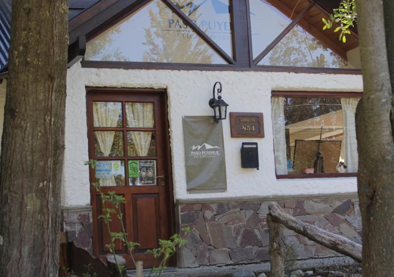 Paso Puyehue
