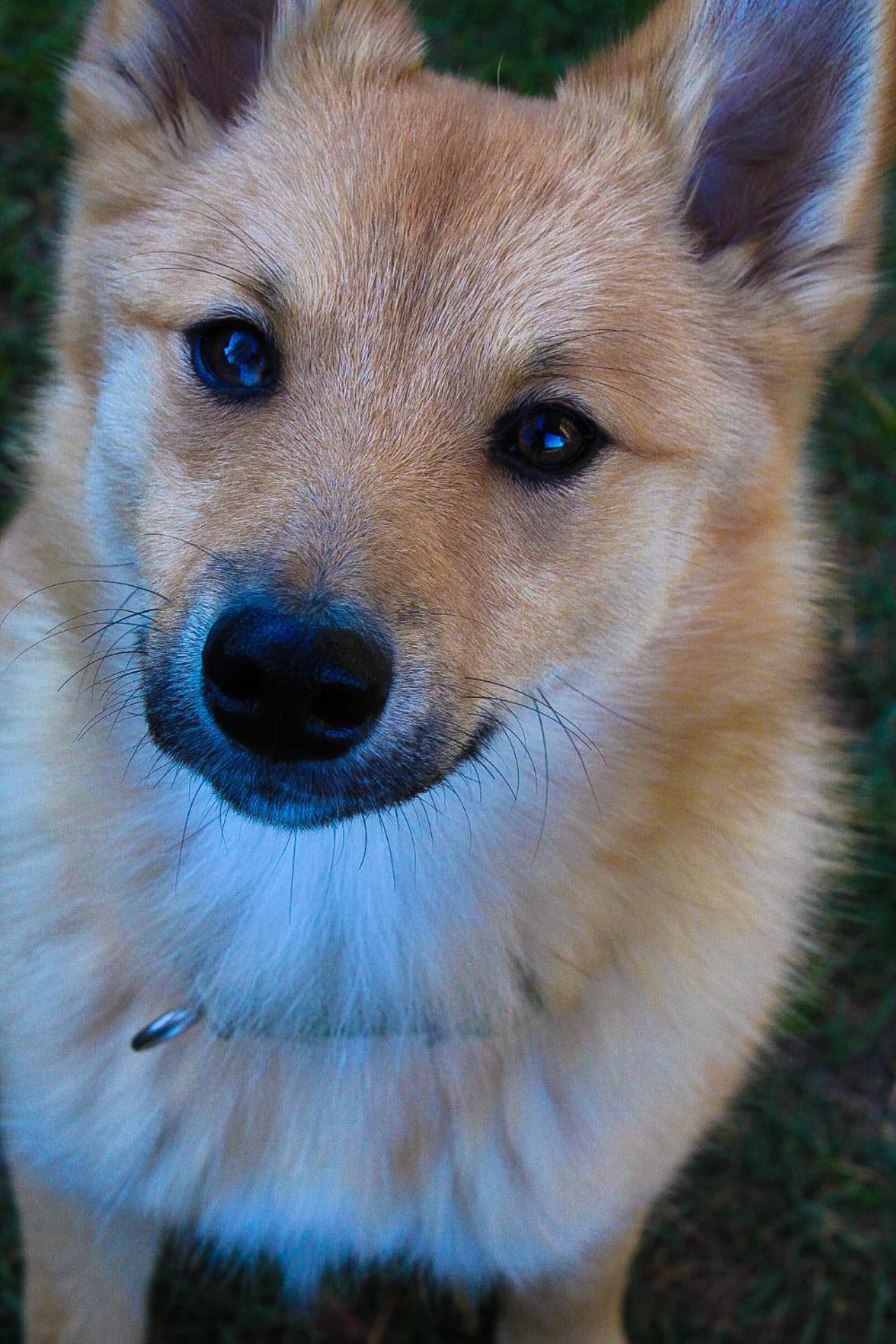 Photo 44