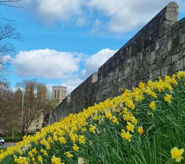 The Old Chapel York