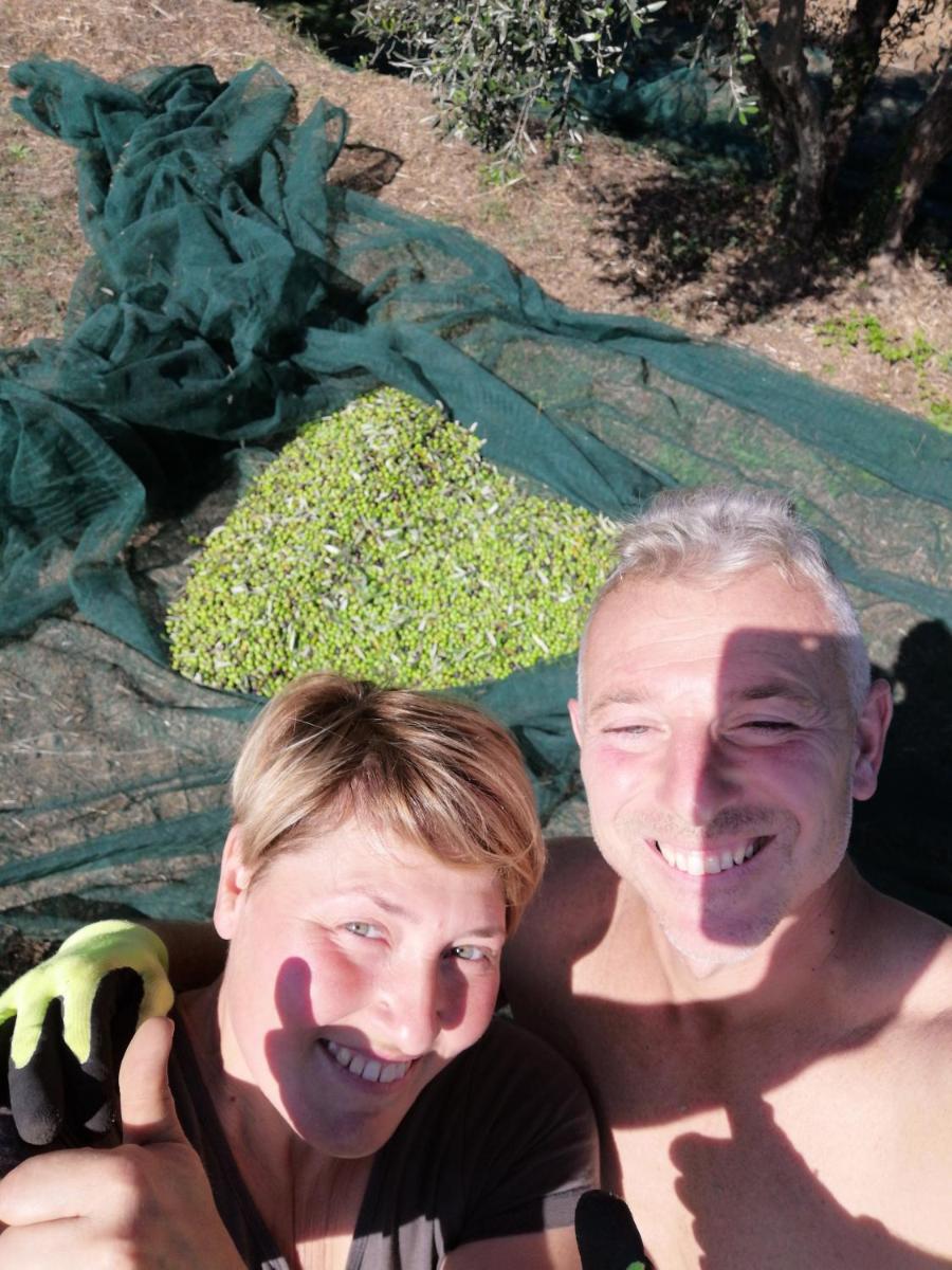 Il Podere di Sole photo 5