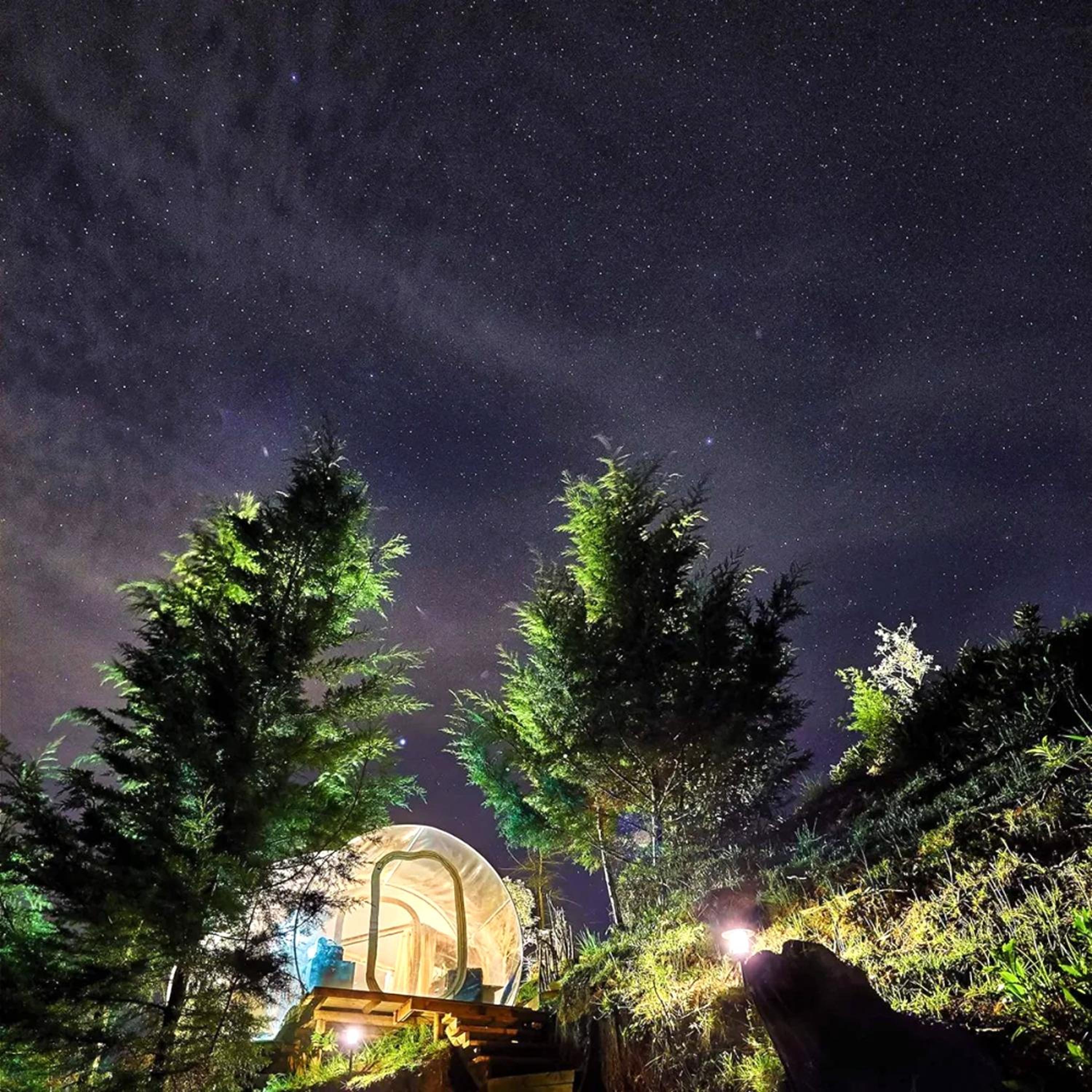 BubbleSky Glamping 40 min from Medellin - Property Image 45