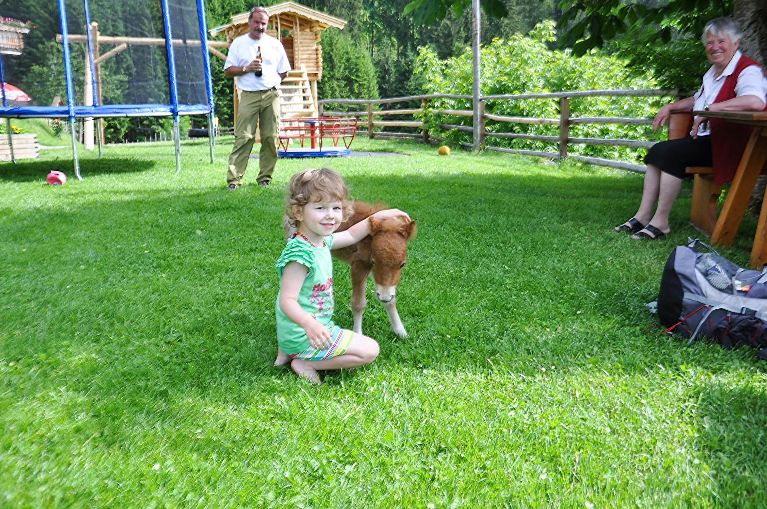 Photo 27