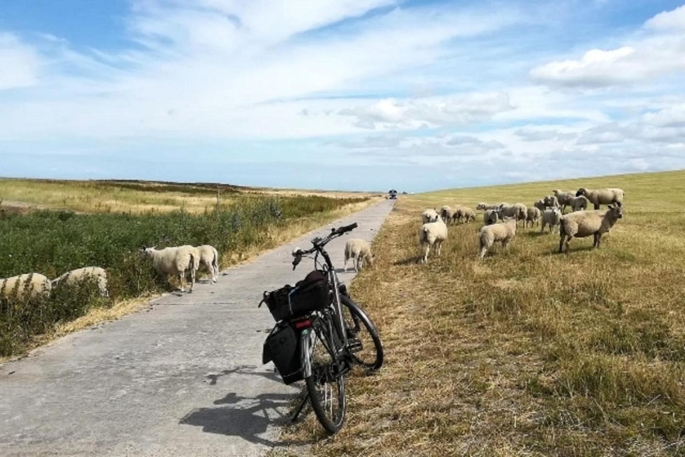 Aseler Nordseestube