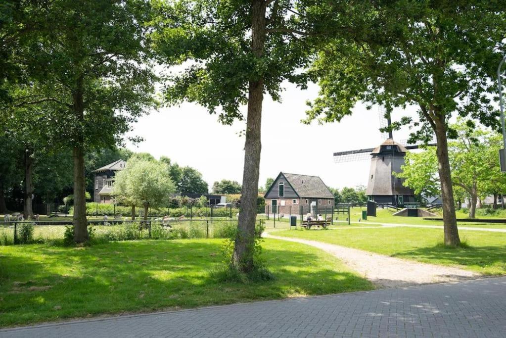 Photo 19