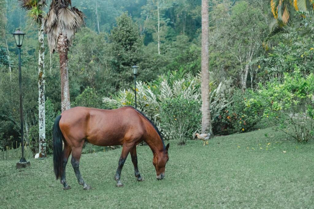 Ecofinca Azahares