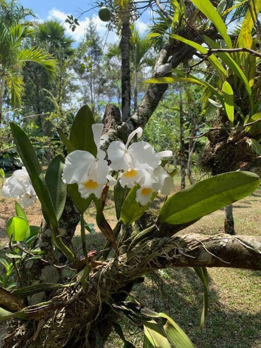 Ecofinca Azahares