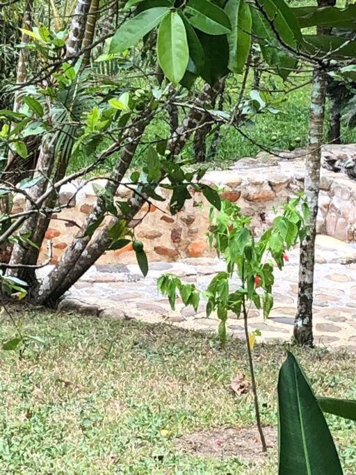Ecofinca Azahares