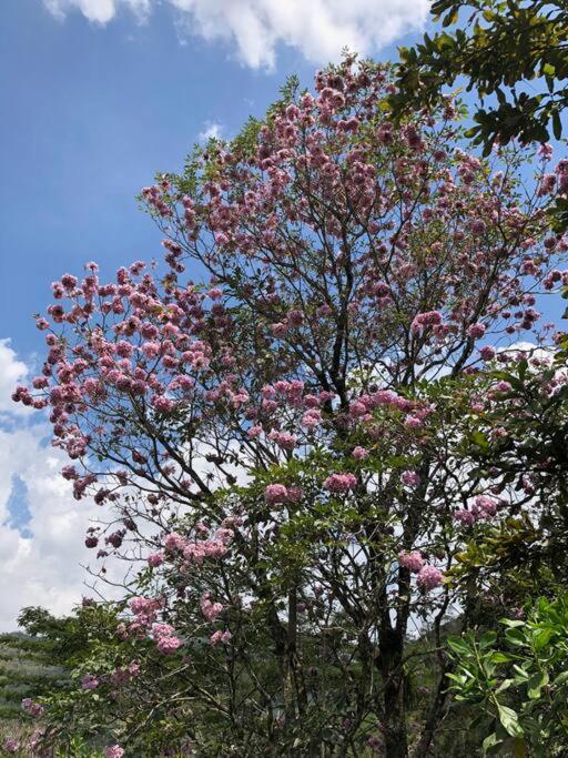 Ecofinca Azahares