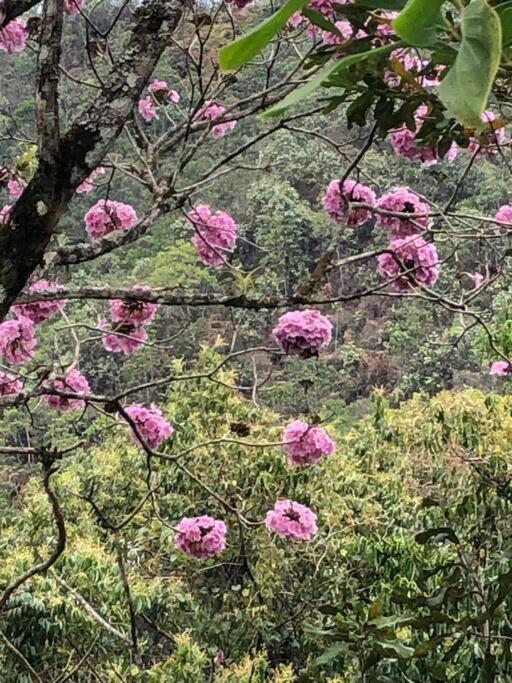 Ecofinca Azahares