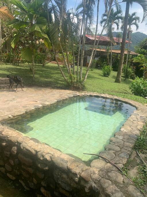 Ecofinca Azahares