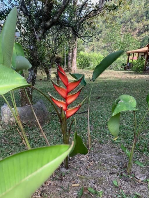 Ecofinca Azahares