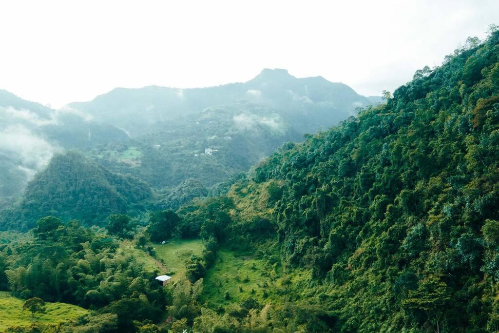 Ecofinca Azahares