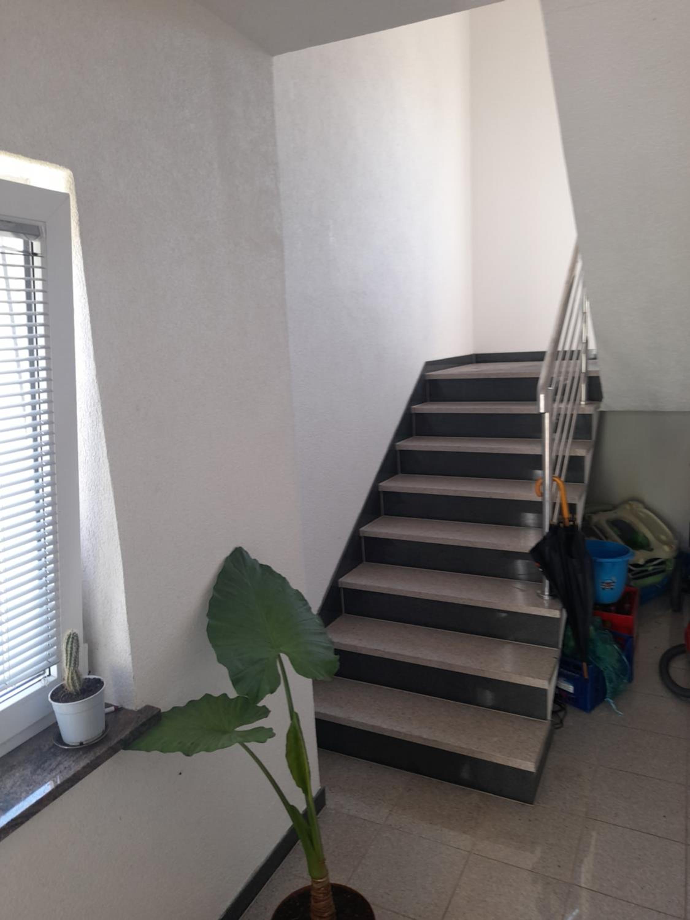 Apartman Zoran